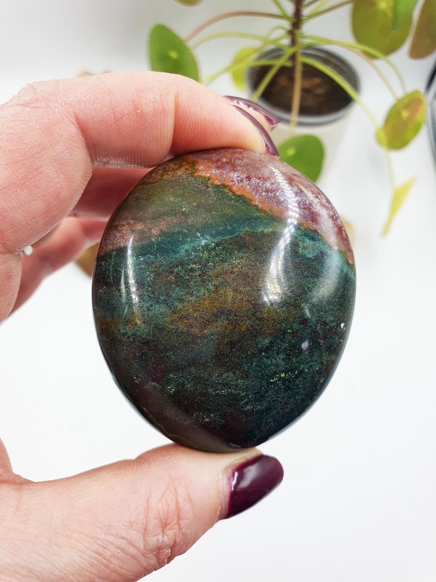 Large Ocean Jasper Palm