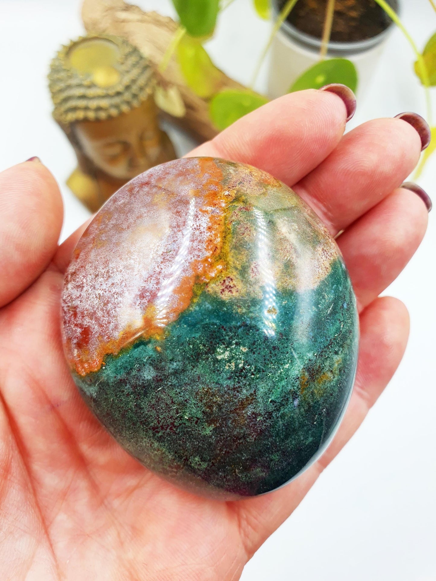 Large Ocean Jasper Palm