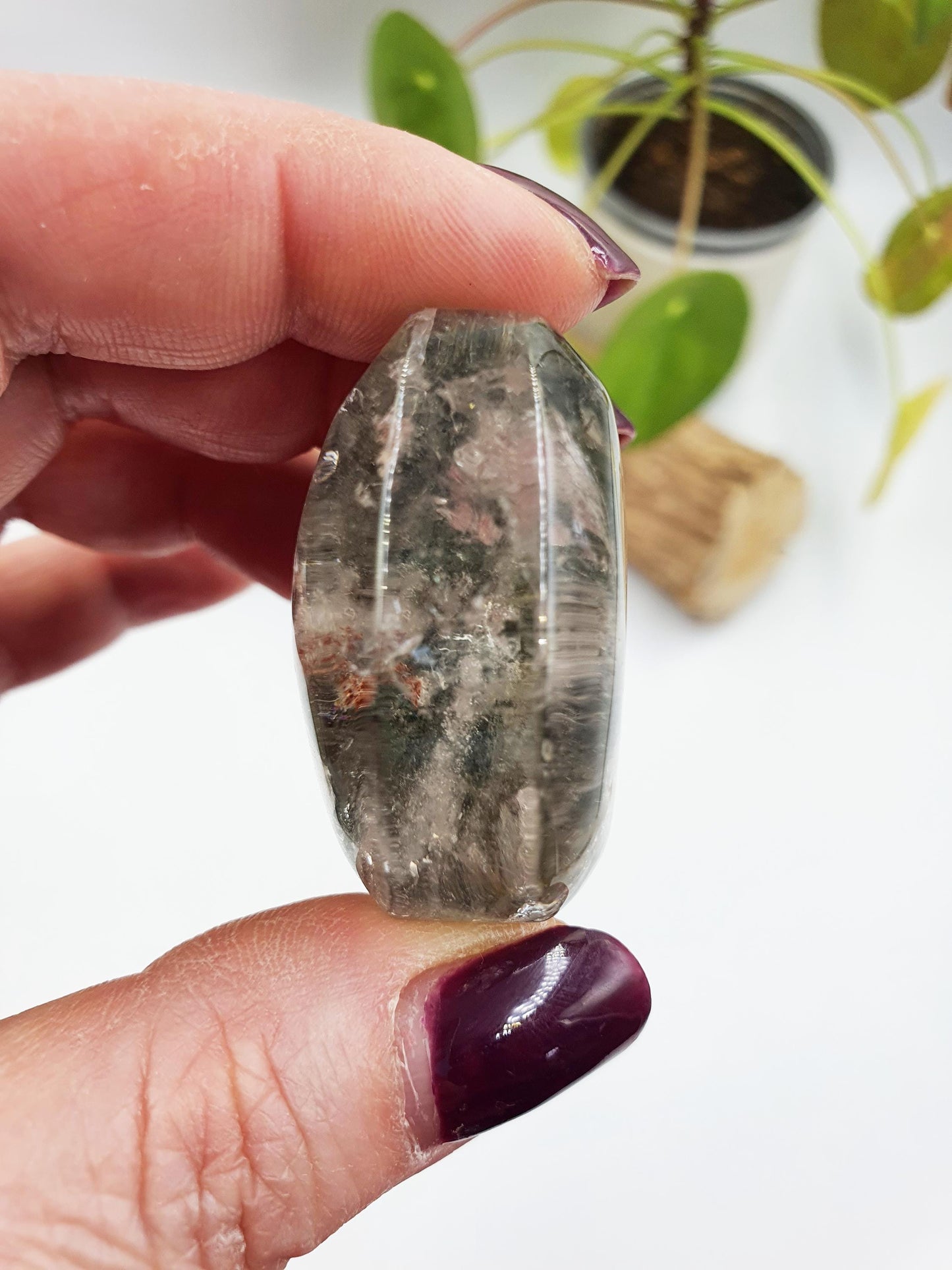 Garden Quartz Palm/Lodolite Quartz Palm