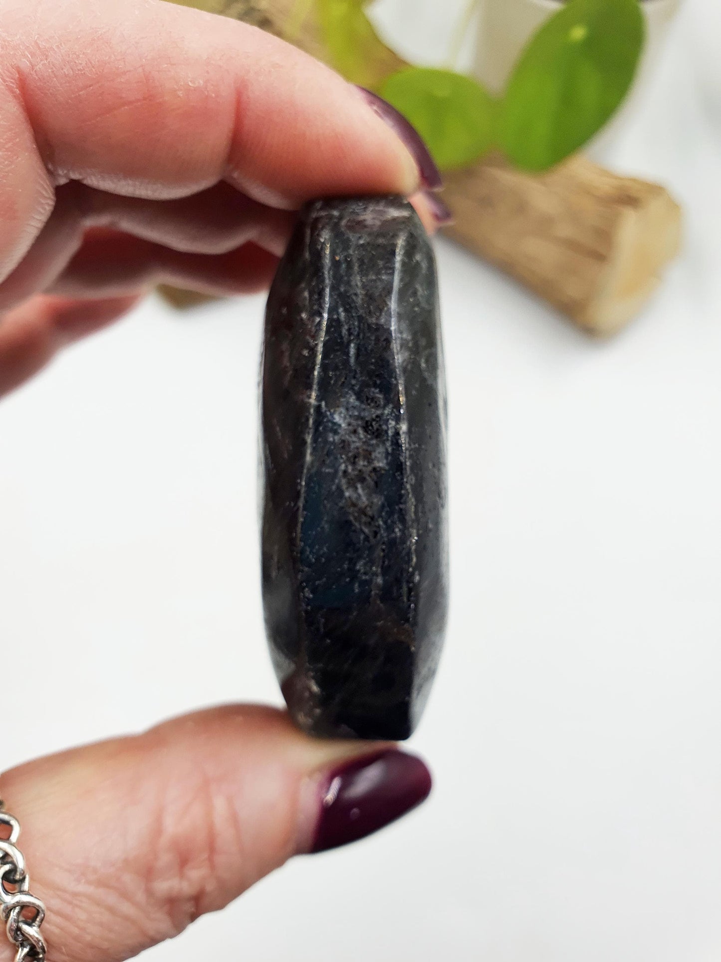 Large Astrophyllite Palm