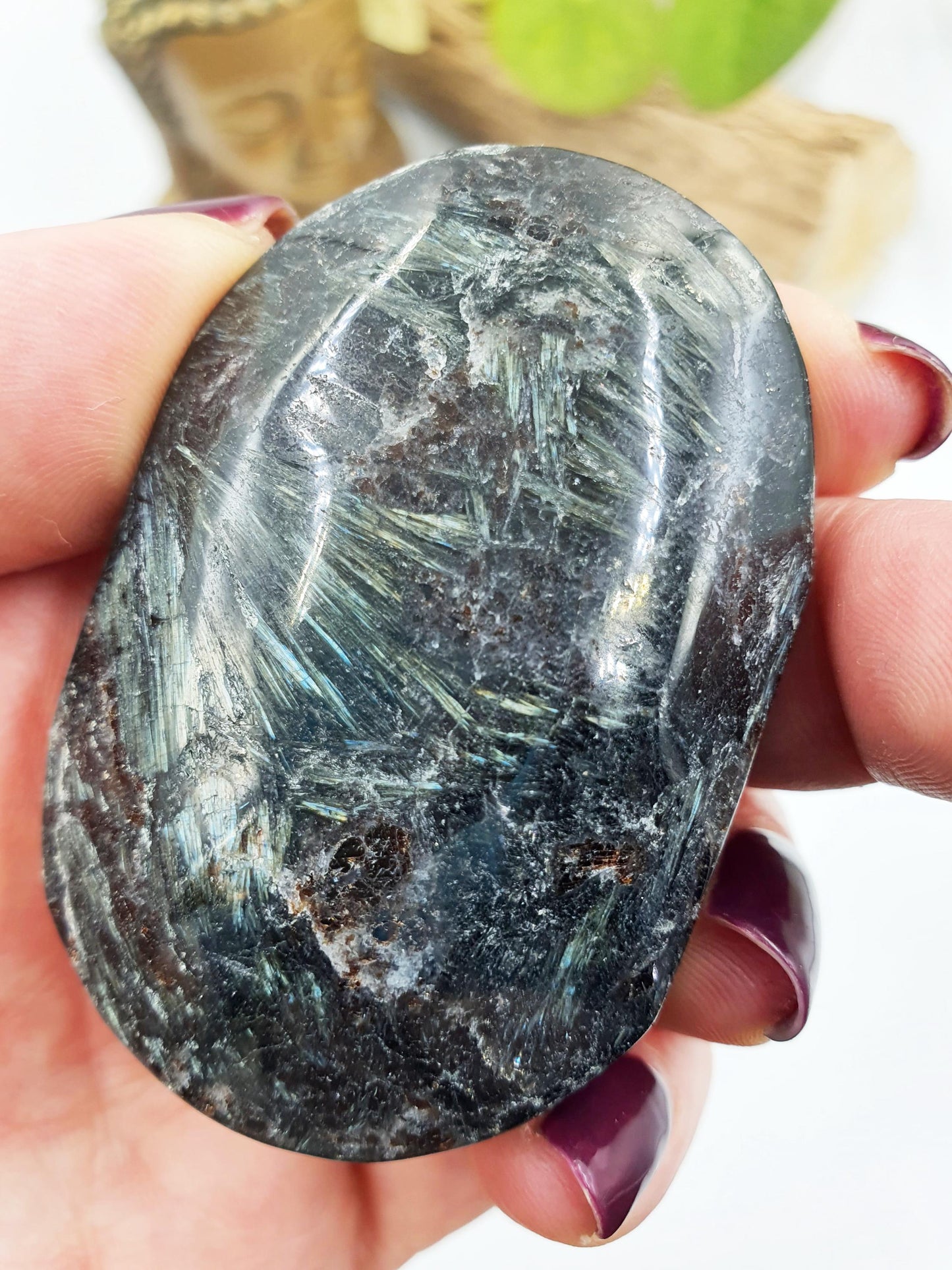 Large Astrophyllite Palm