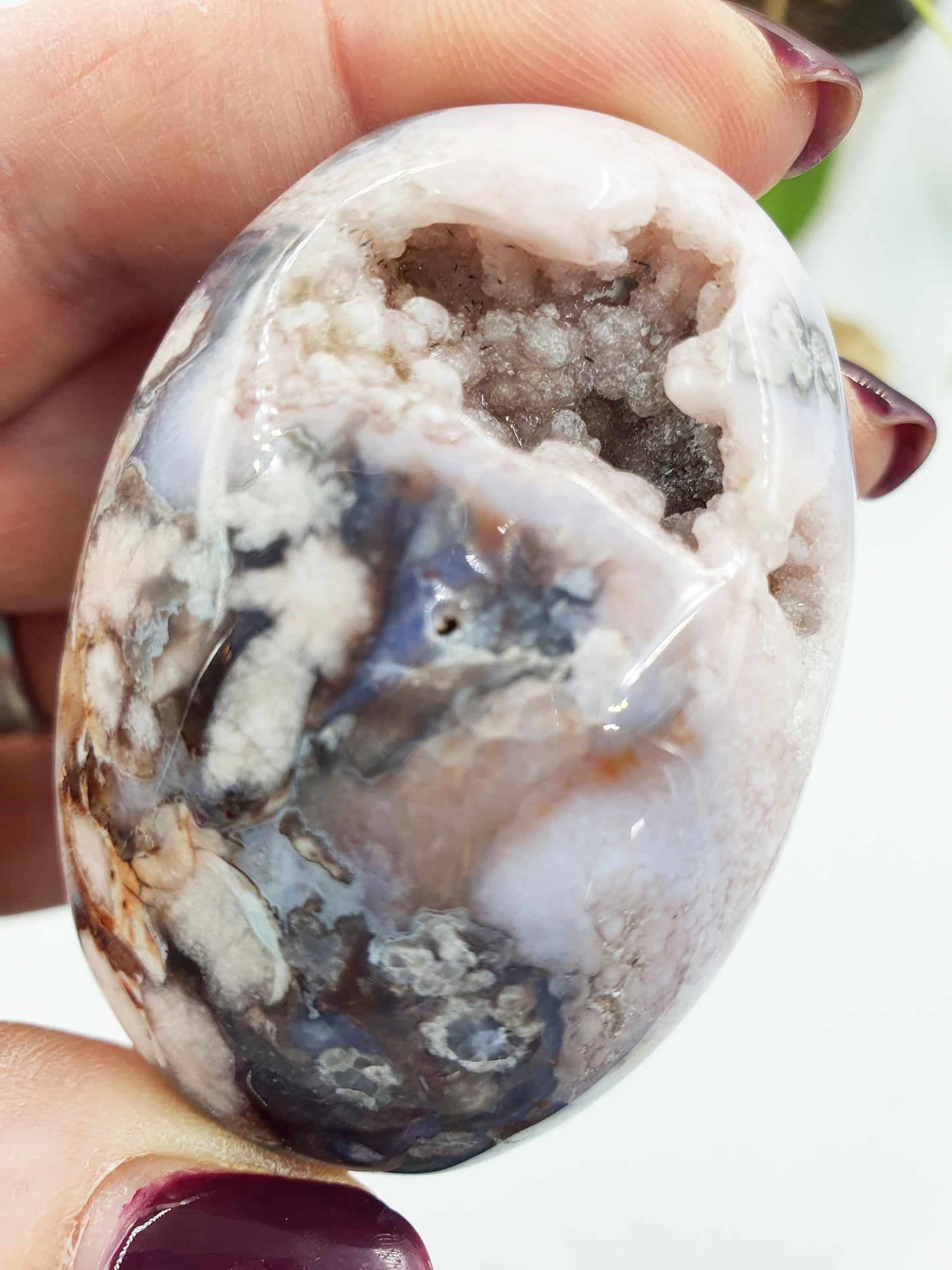Blue Flower Agate Palm