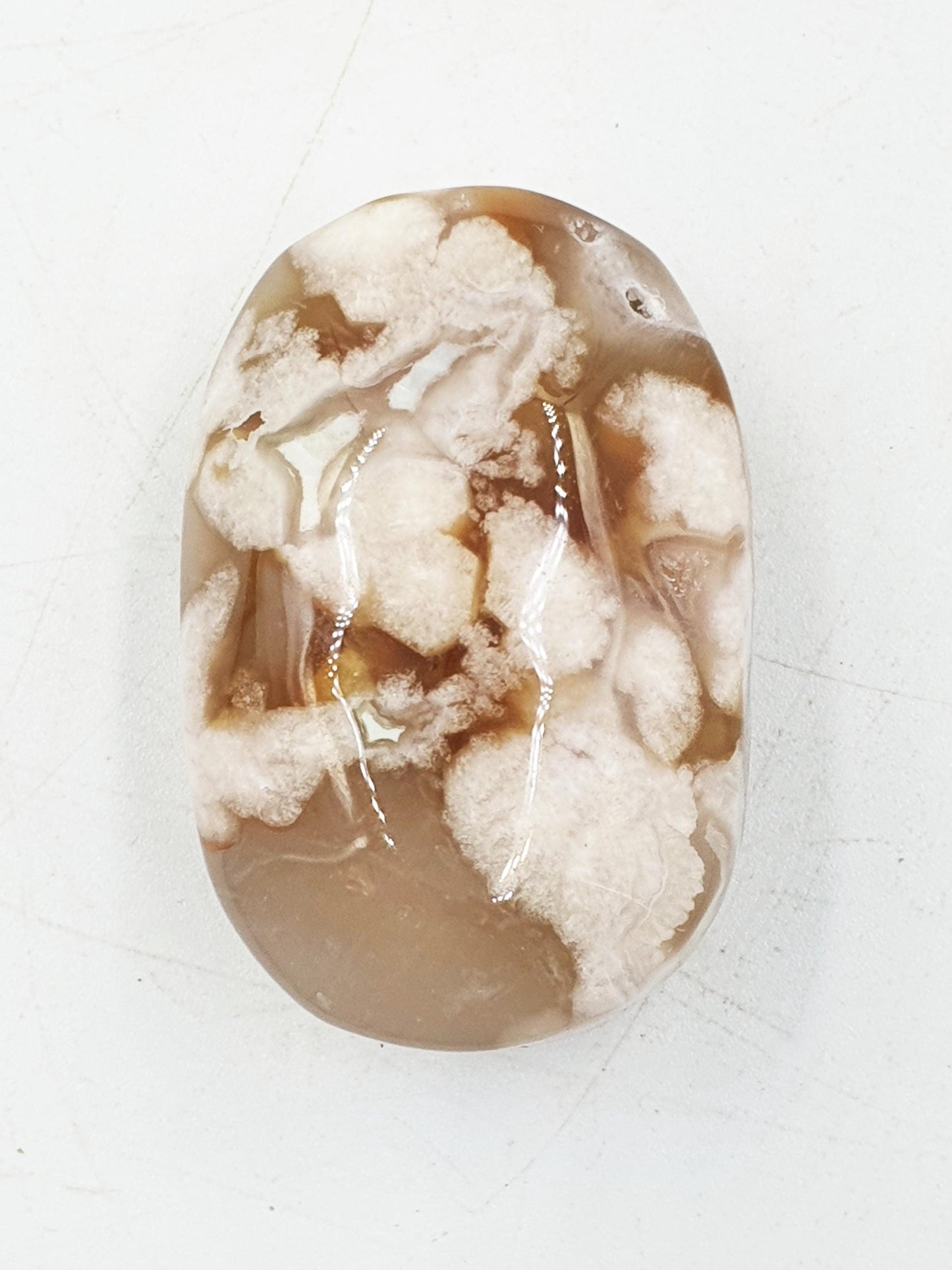 Flower Agate Palm