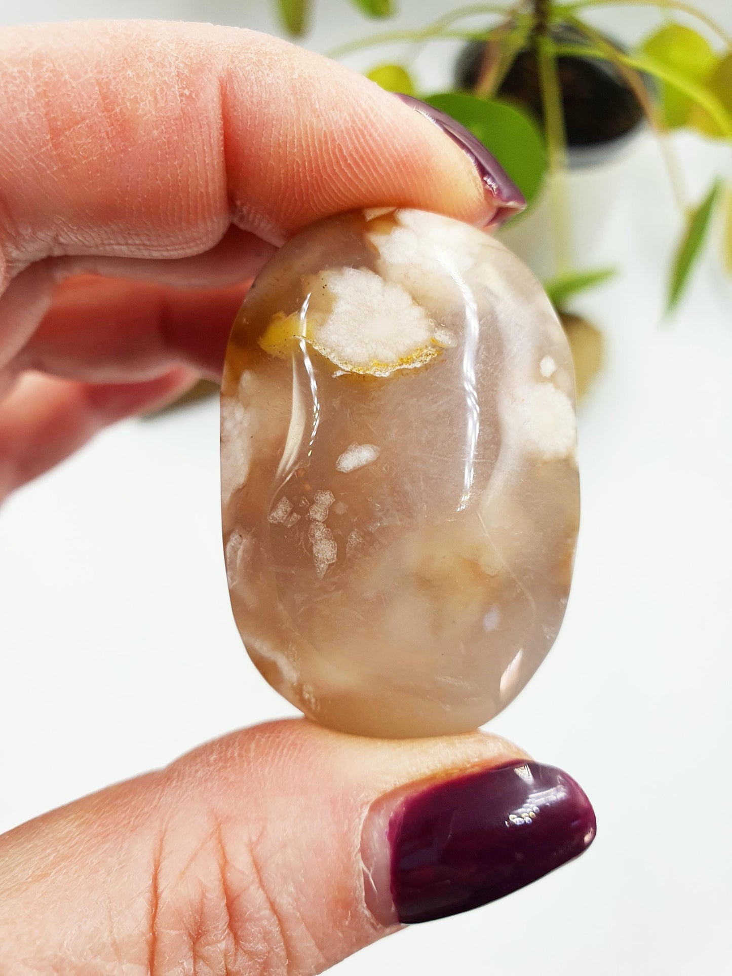 Flower Agate Palm