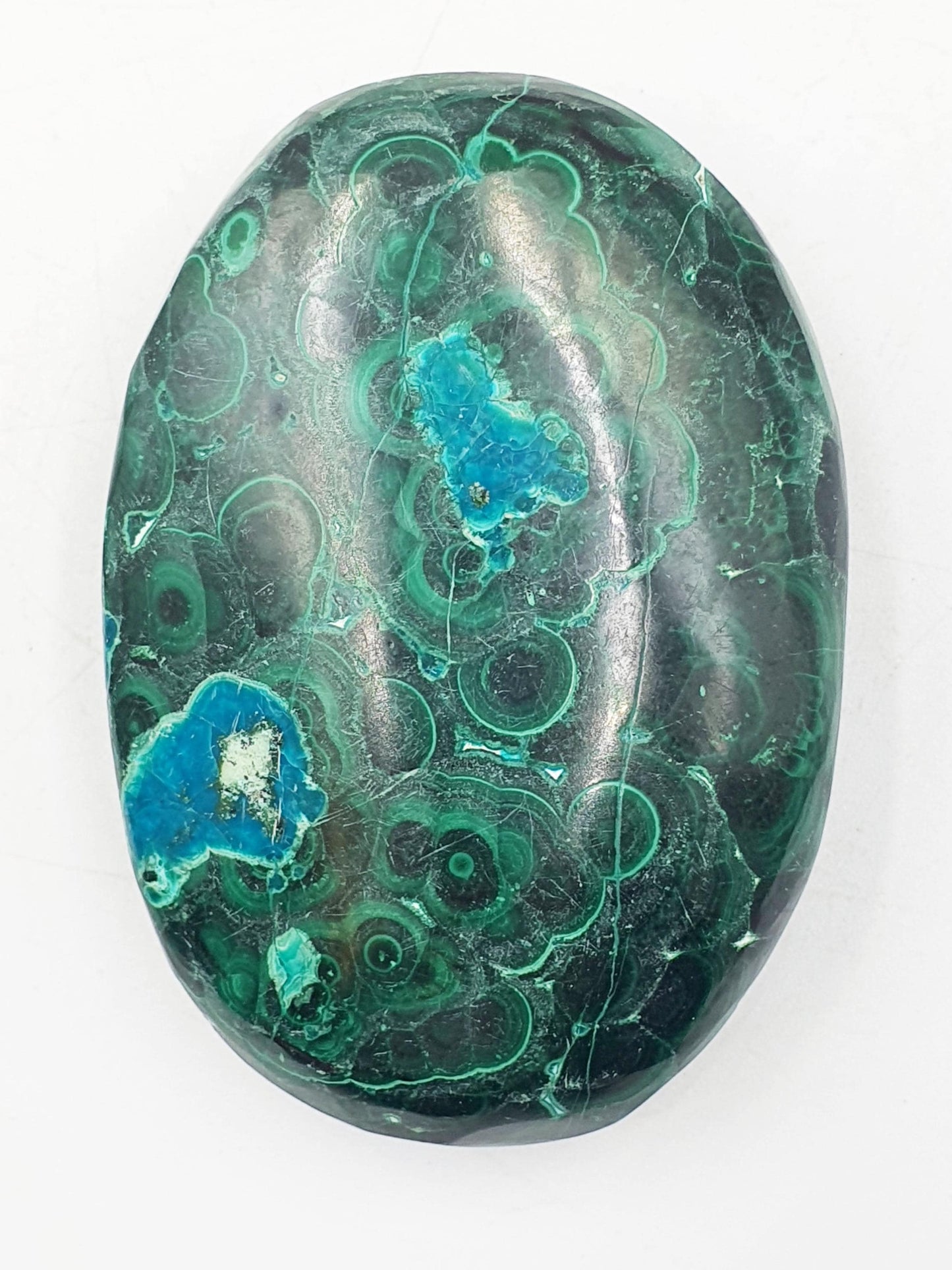Chrysocolla Palm