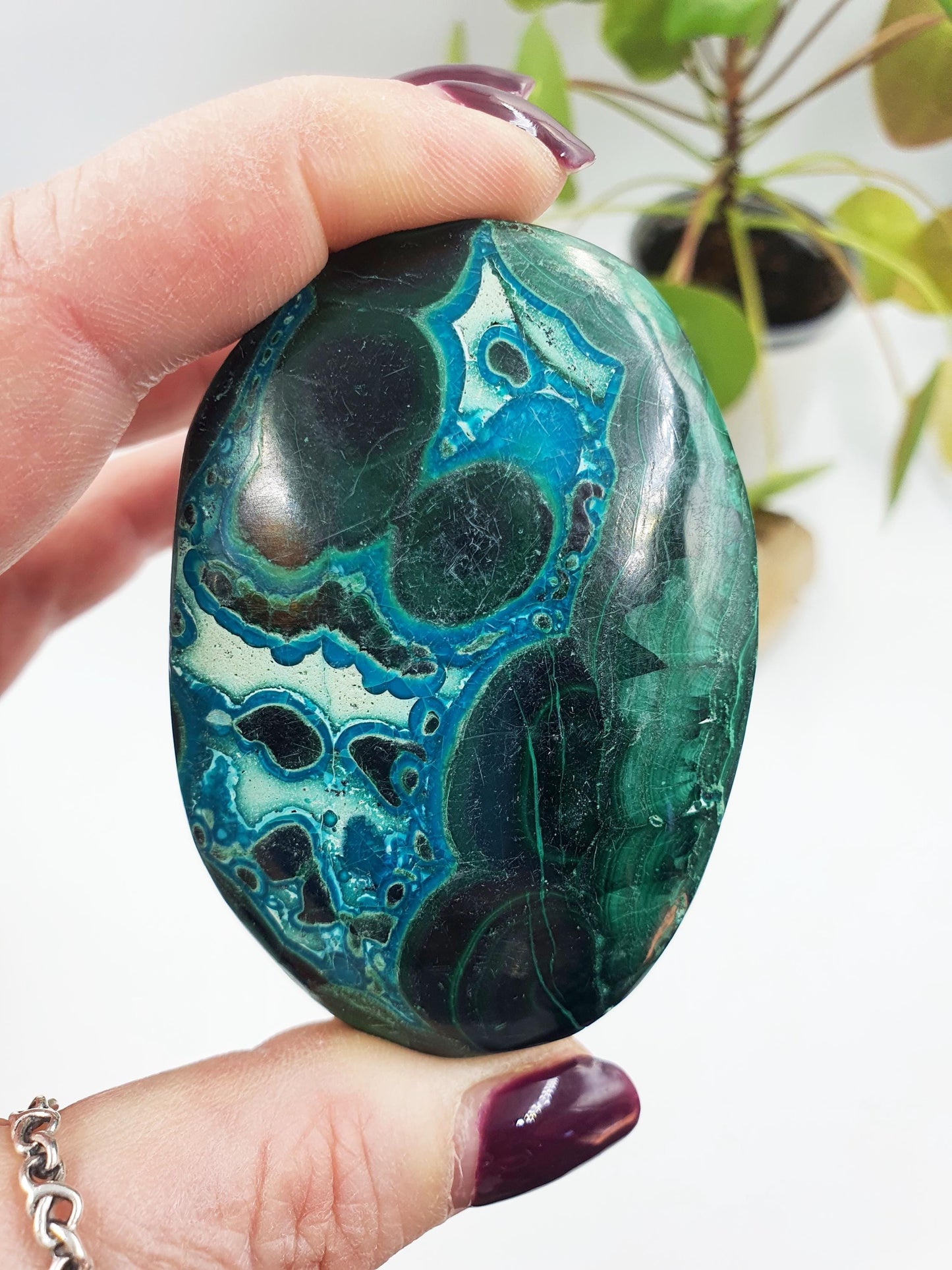 Chrysocolla Palm