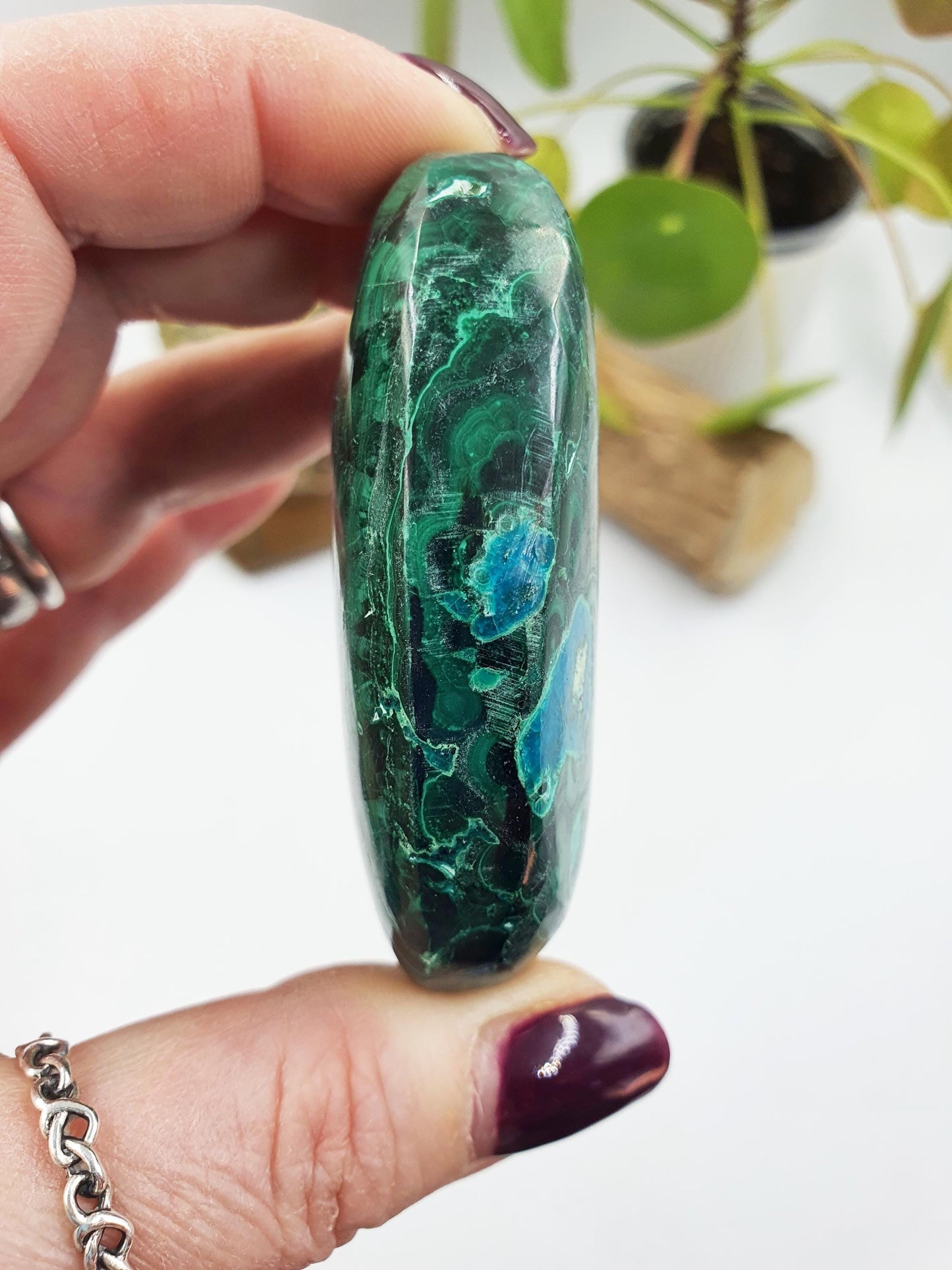 Chrysocolla Palm