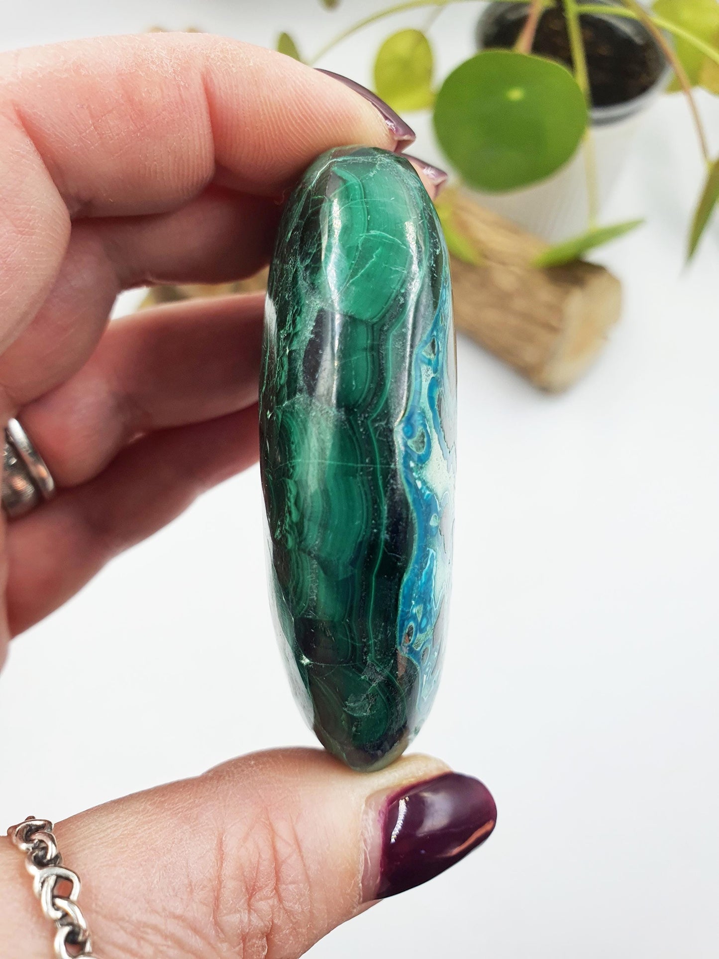 Chrysocolla Palm