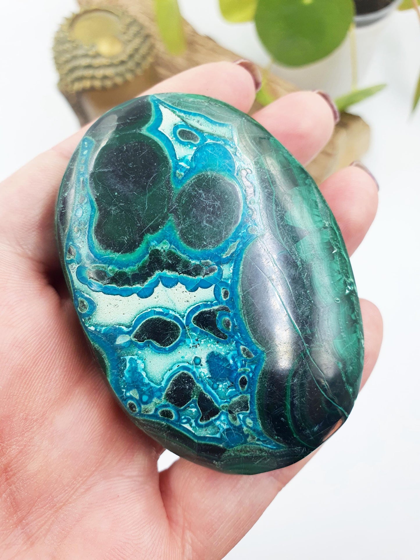 Chrysocolla Palm