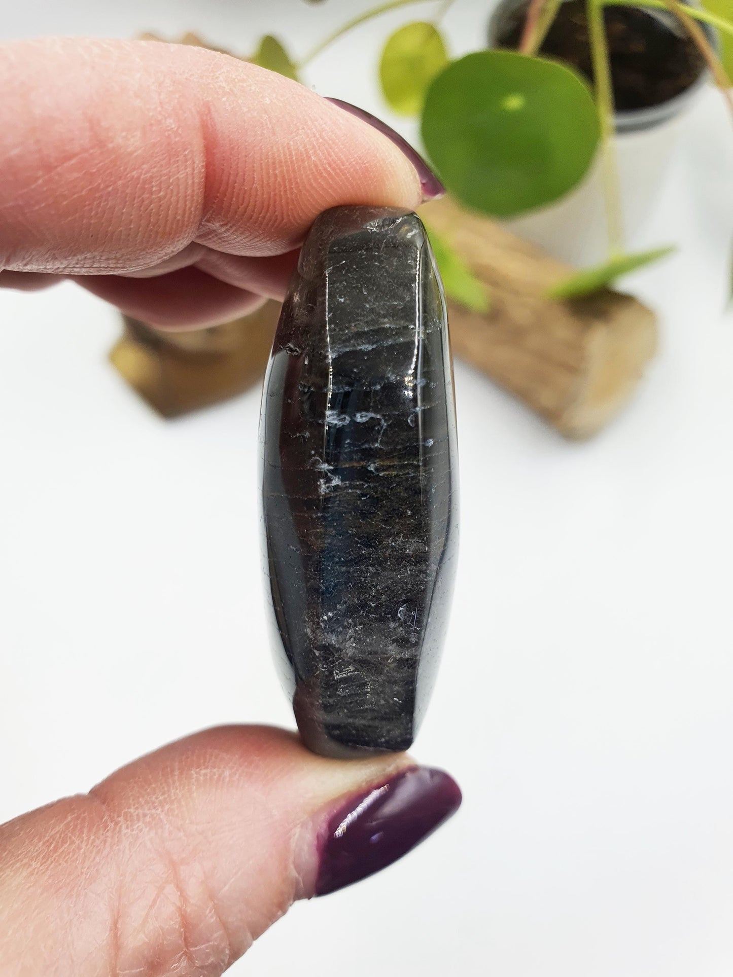 Thousand Layer (Lodolite) Palm Stone