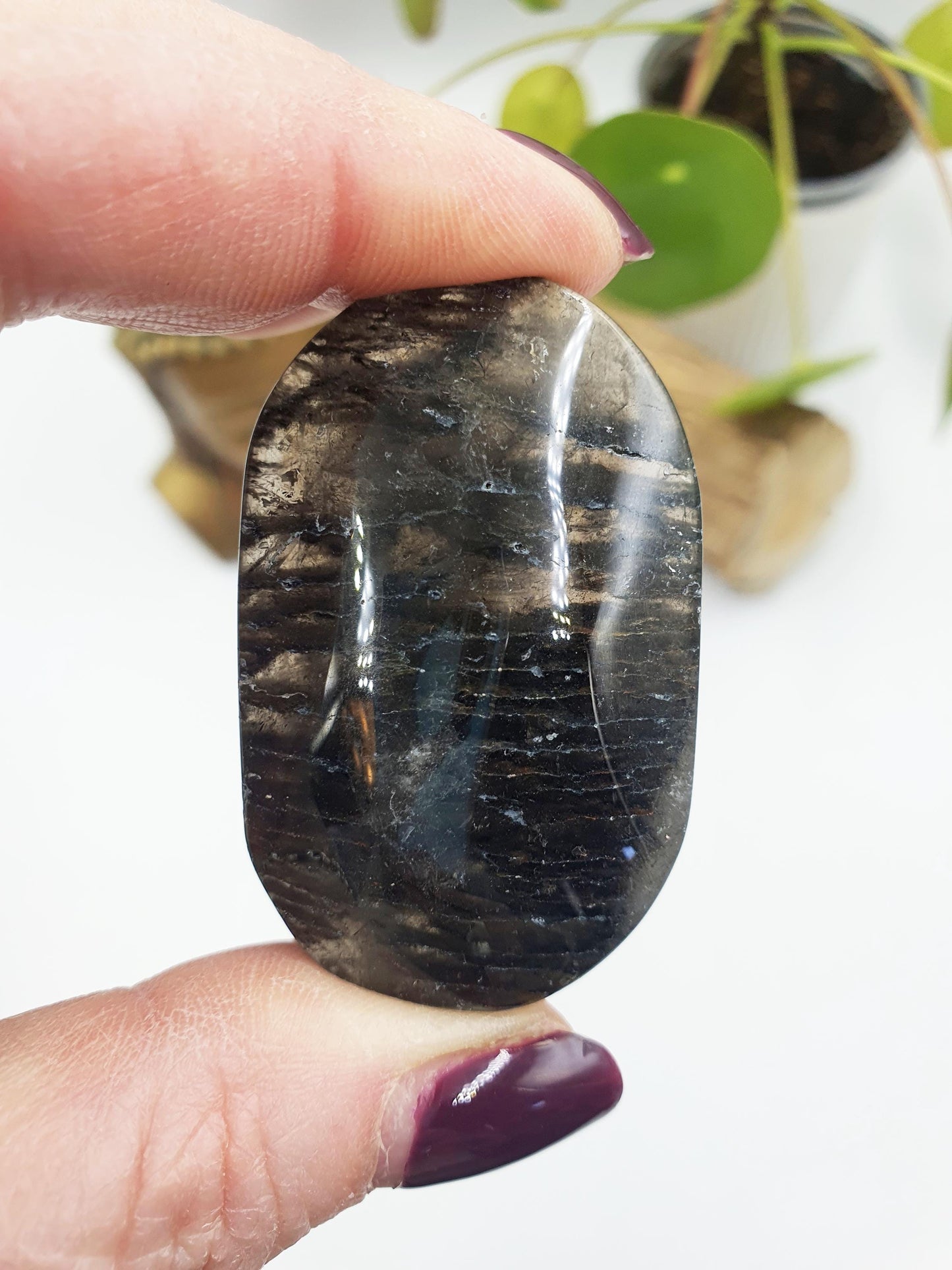 Thousand Layer (Lodolite) Palm Stone