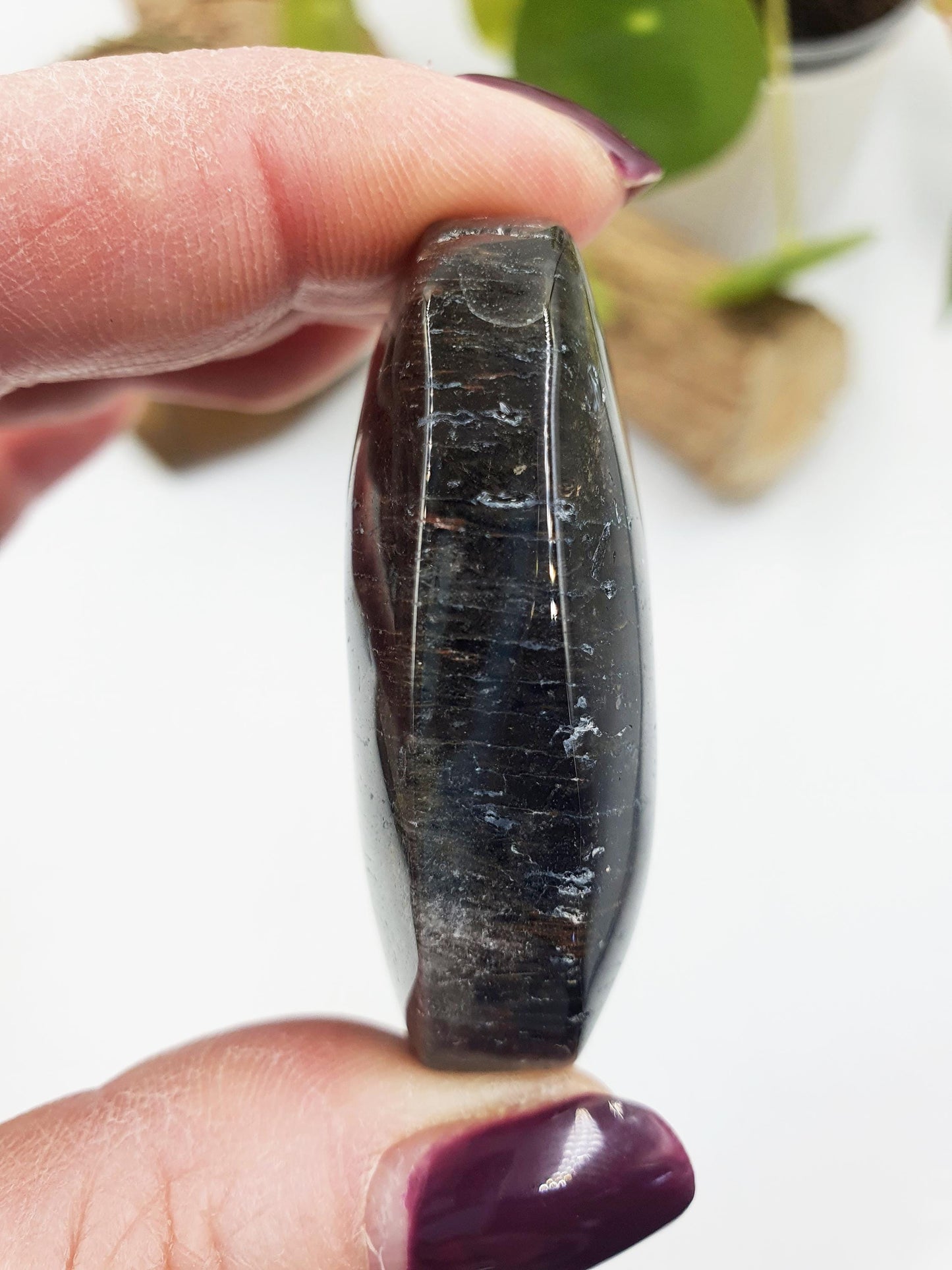 Thousand Layer (Lodolite) Palm Stone