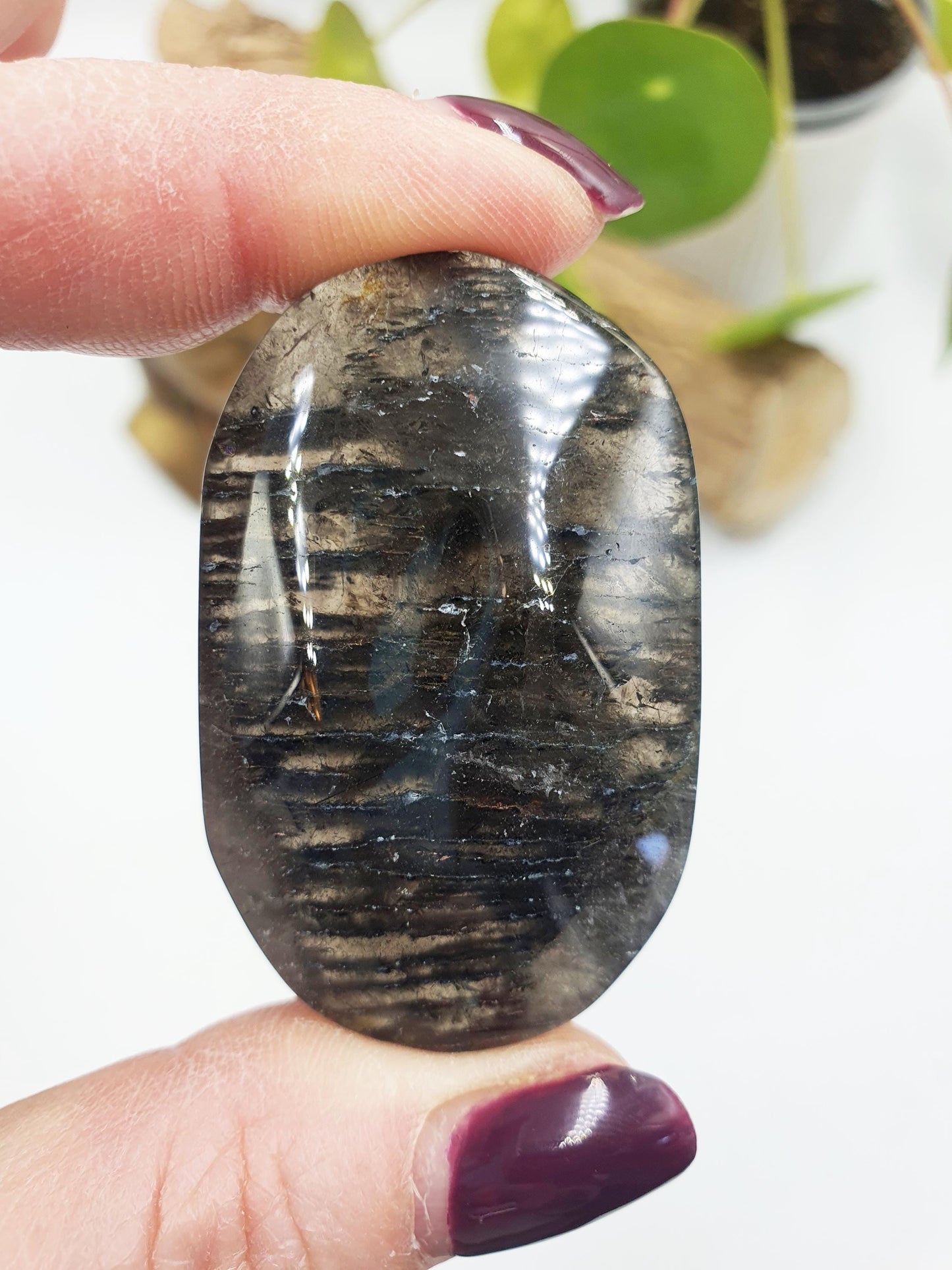 Thousand Layer (Lodolite) Palm Stone