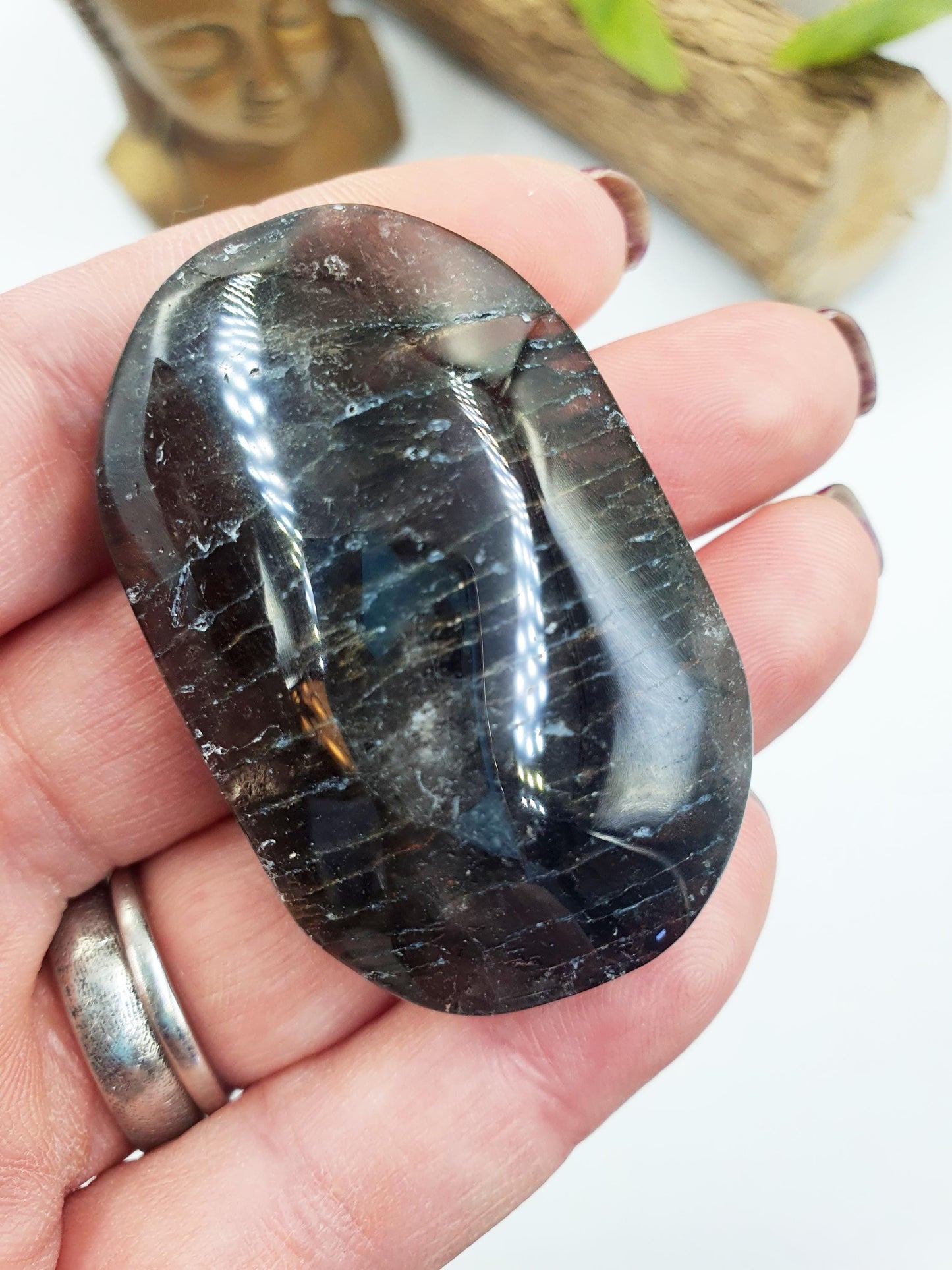 Thousand Layer (Lodolite) Palm Stone
