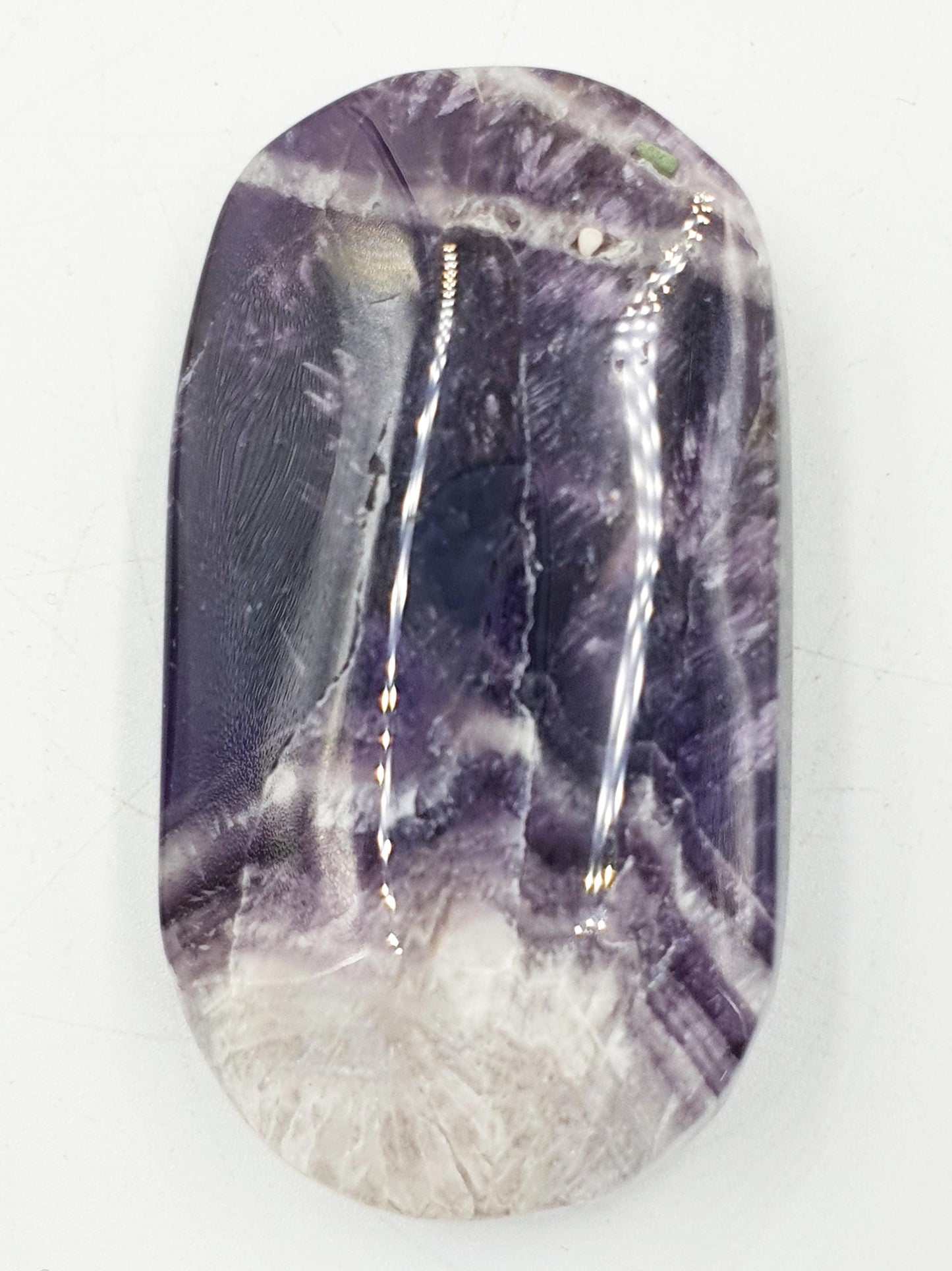 Dream Amethyst Palm