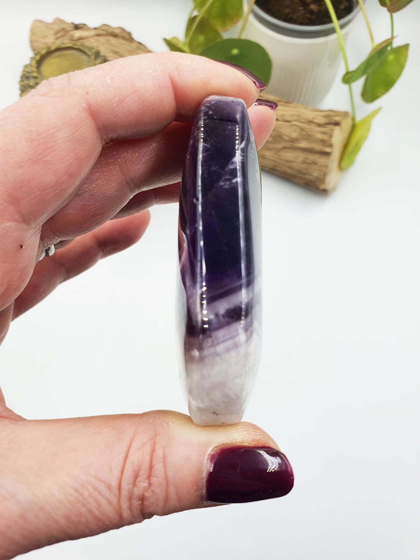 Dream Amethyst Palm