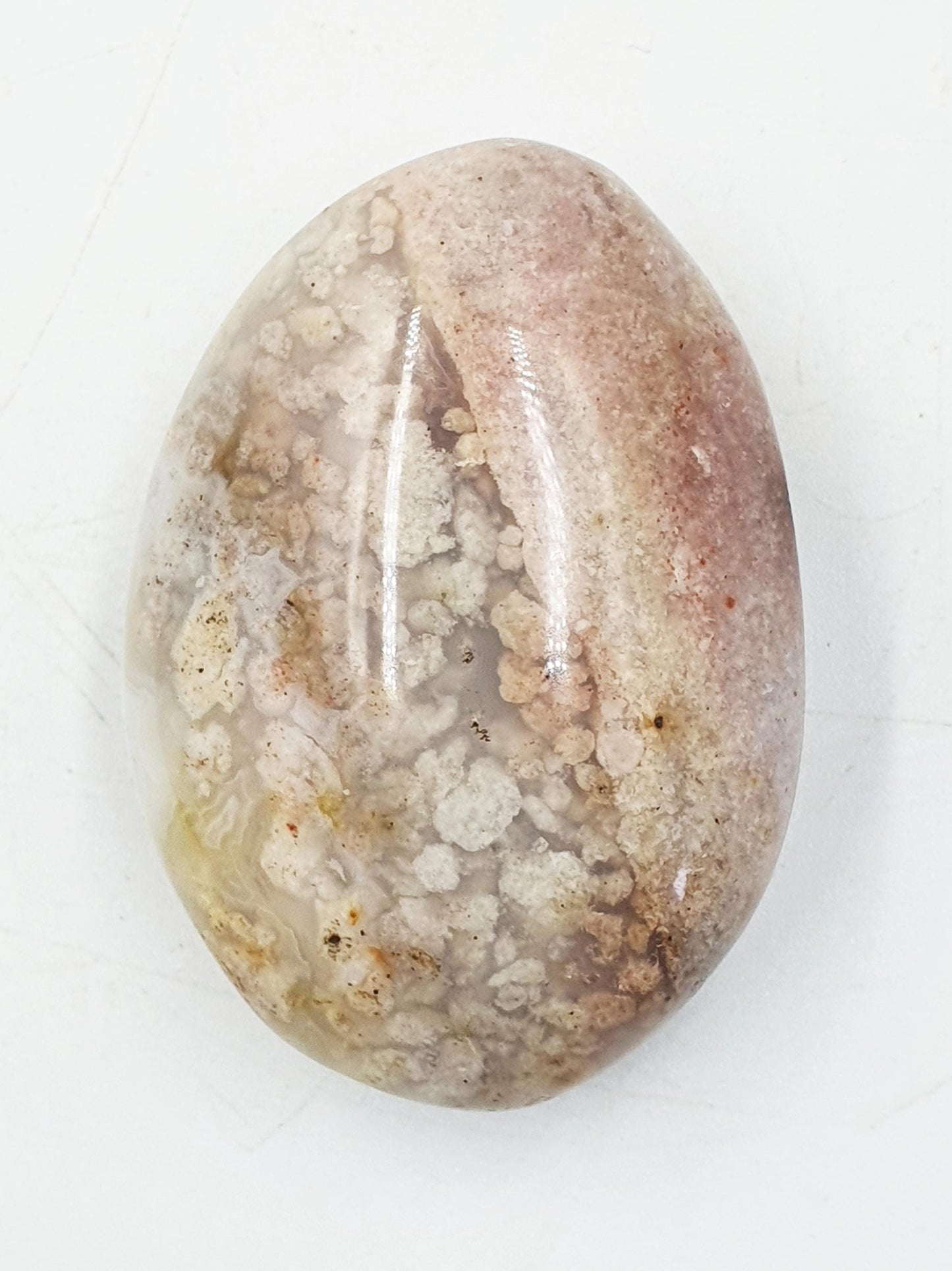 Unique Ocean Jasper Palm