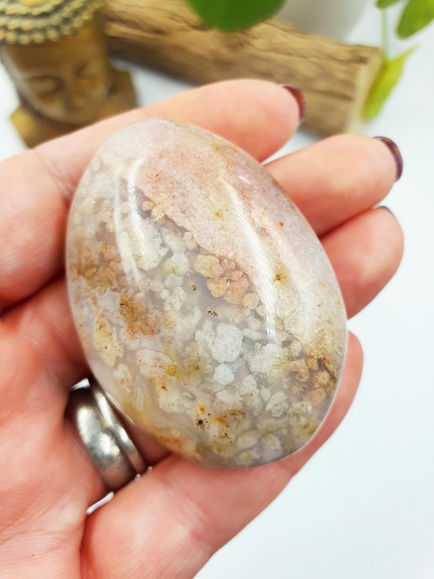 Unique Ocean Jasper Palm