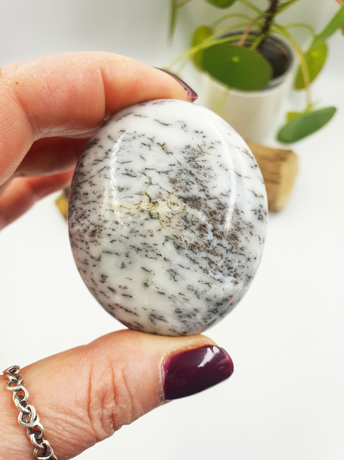 Dendritic Opal Palm