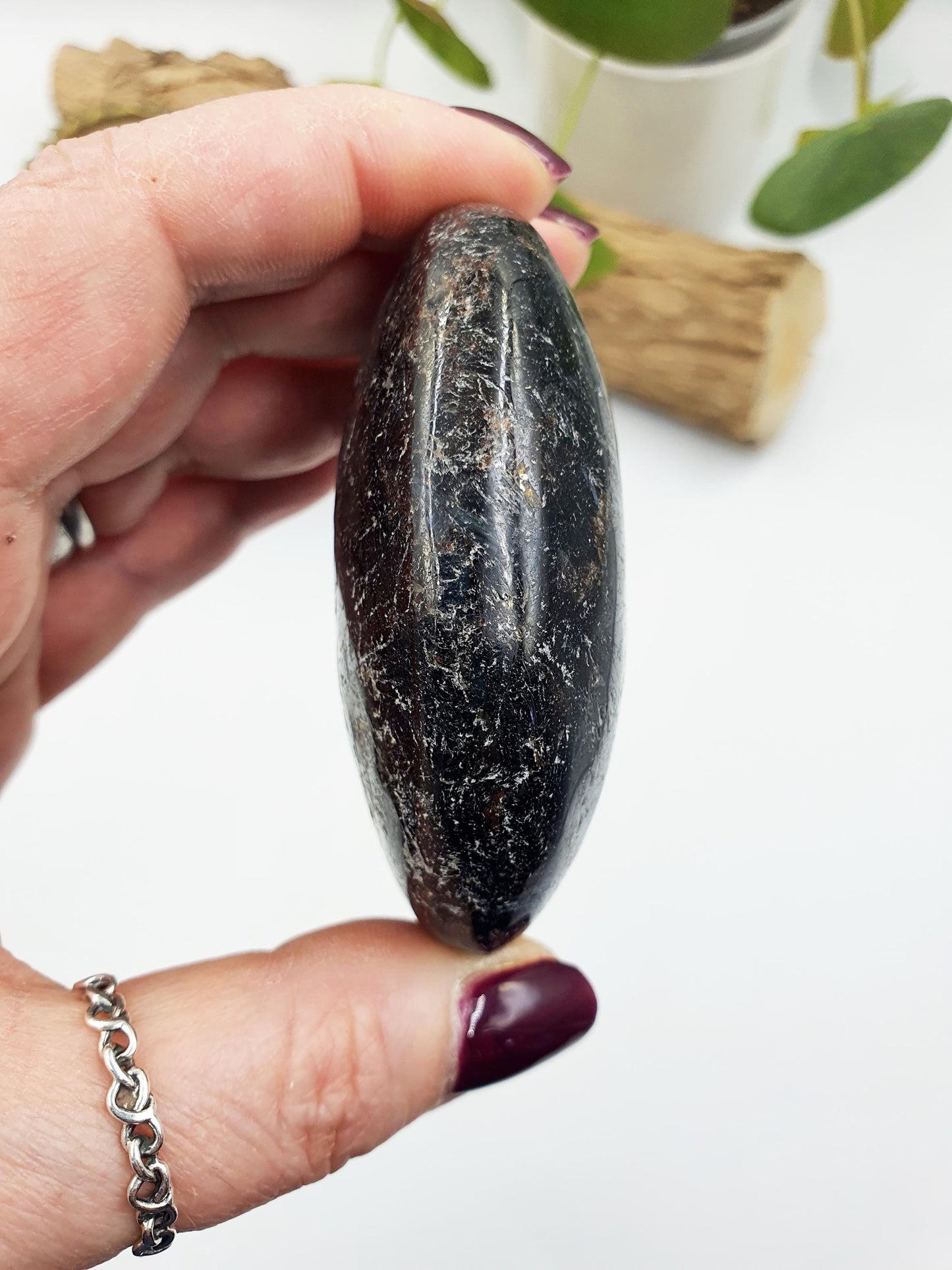 Astrophyllite and Garnet Palm