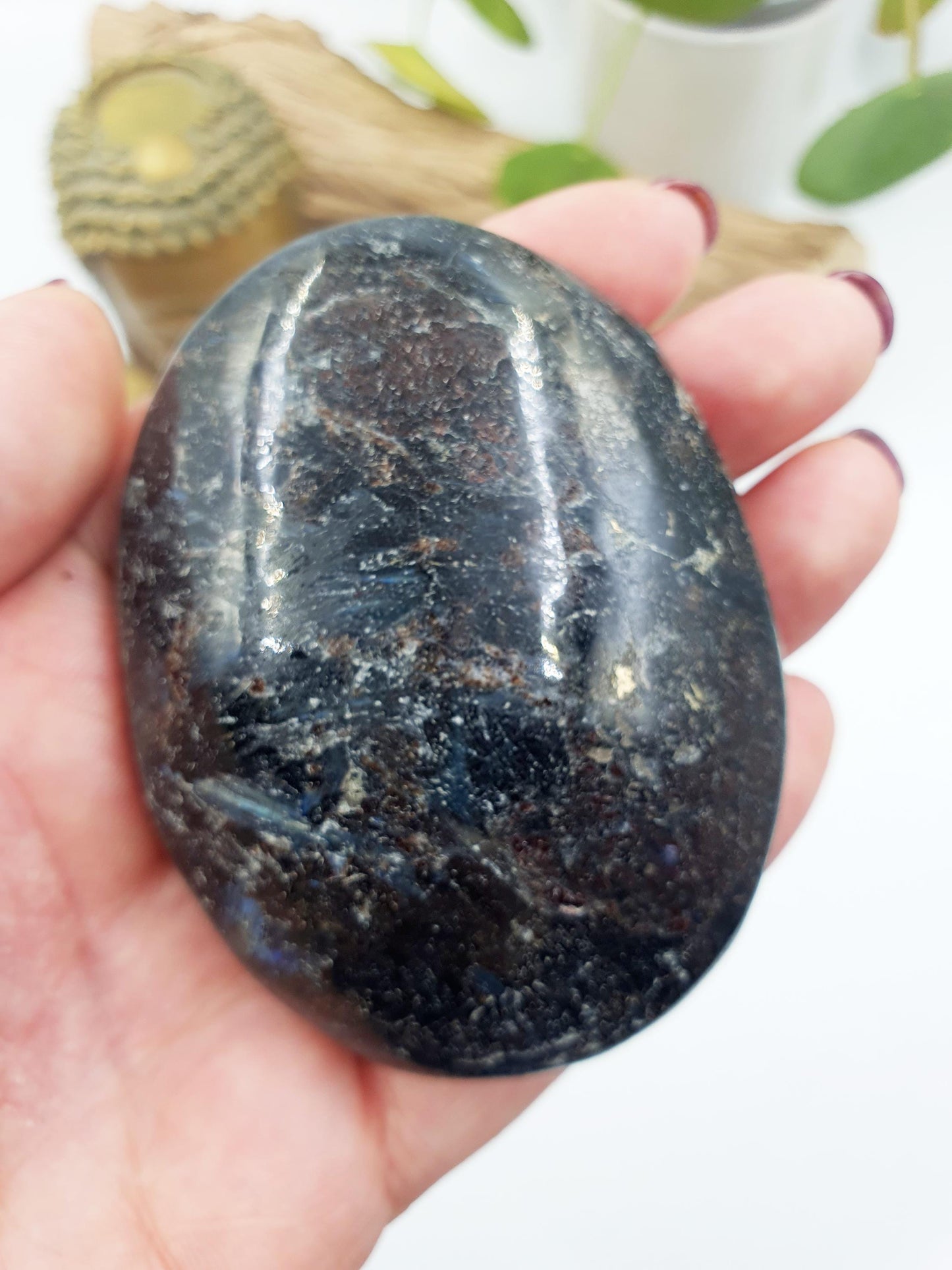 Astrophyllite and Garnet Palm