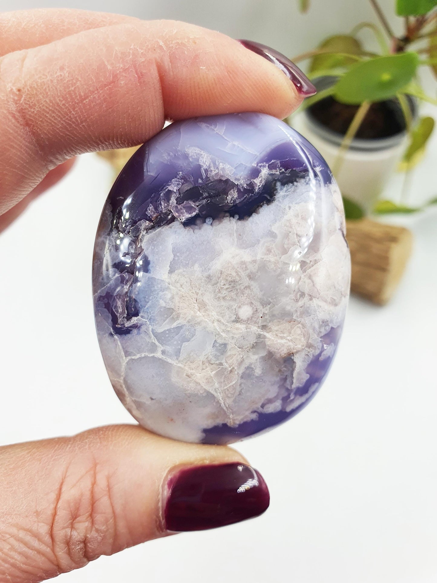 Blue Flower Agate Palm