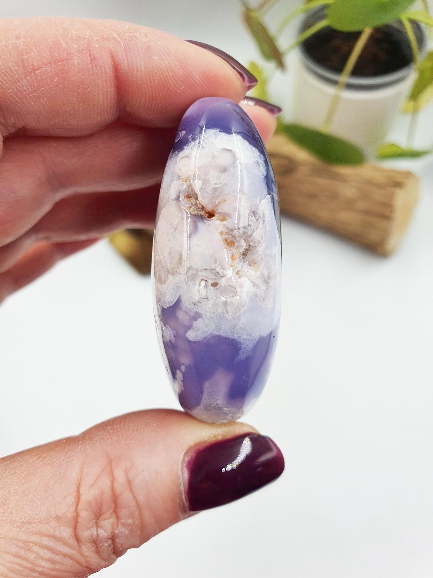 Blue Flower Agate Palm