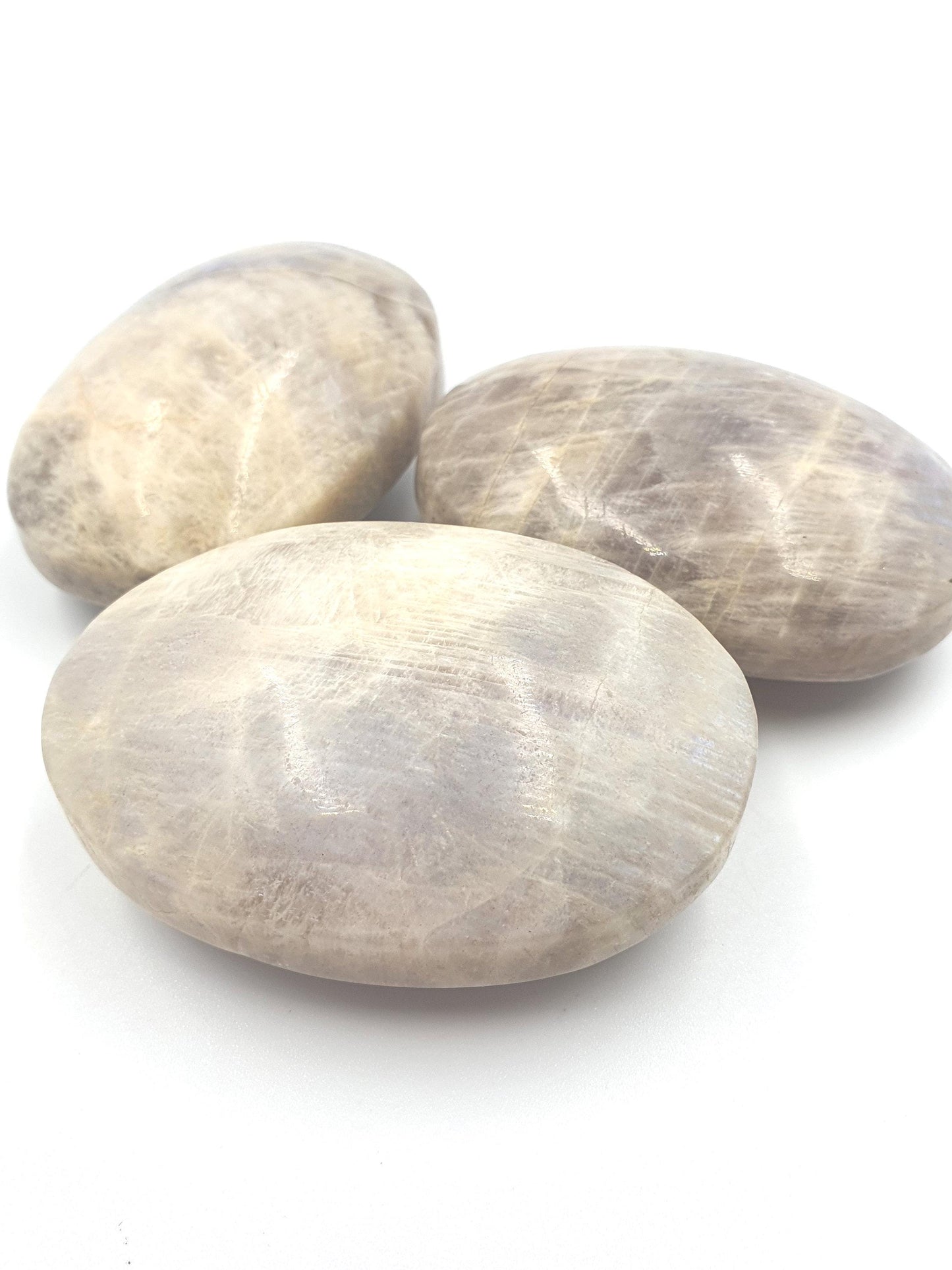 Blue Moonstone Palms