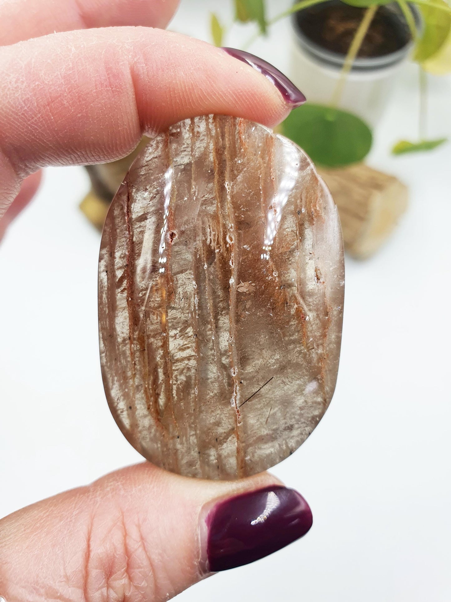High Grade Sparkly Thousand Layer Palm with rainbow - Thoudand Layer (Lodolite) Palm Stone