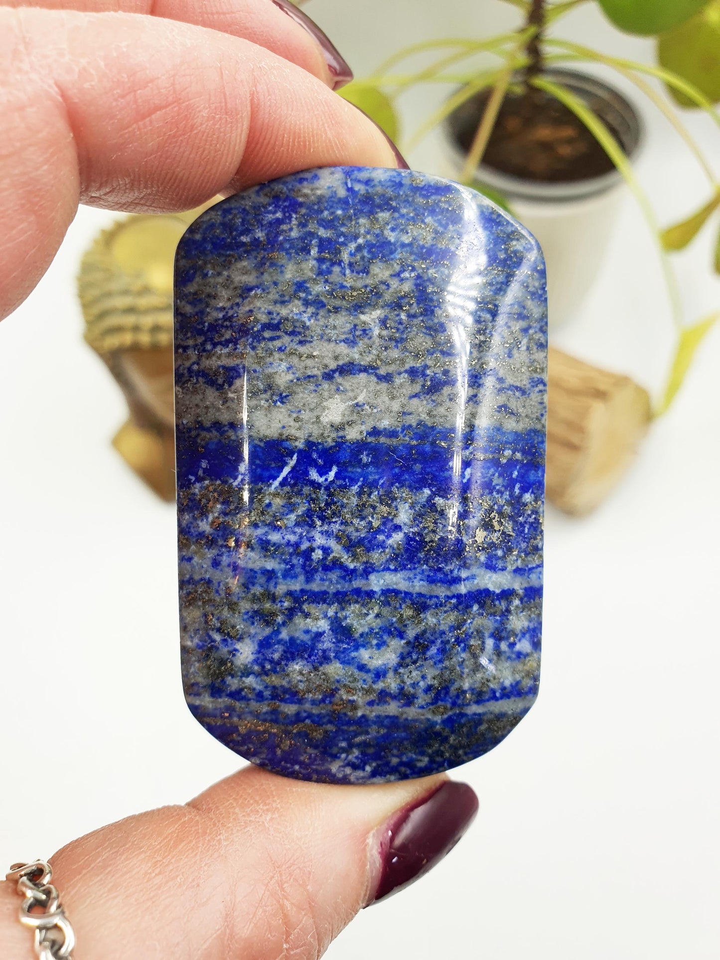Large Lapis Lazuli Palm