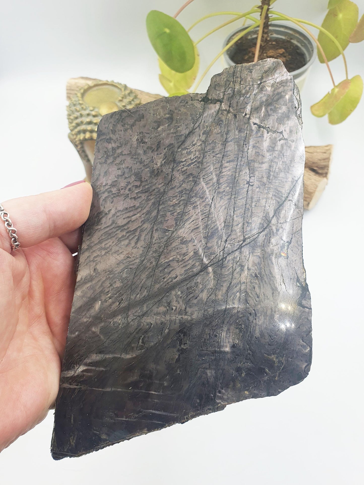 Rare Hypersthene Slice/ Hypersthene Slab / Rare Crystal Slice / Raw and polished Hypersthene / Large Hypersthene Slab - 675g