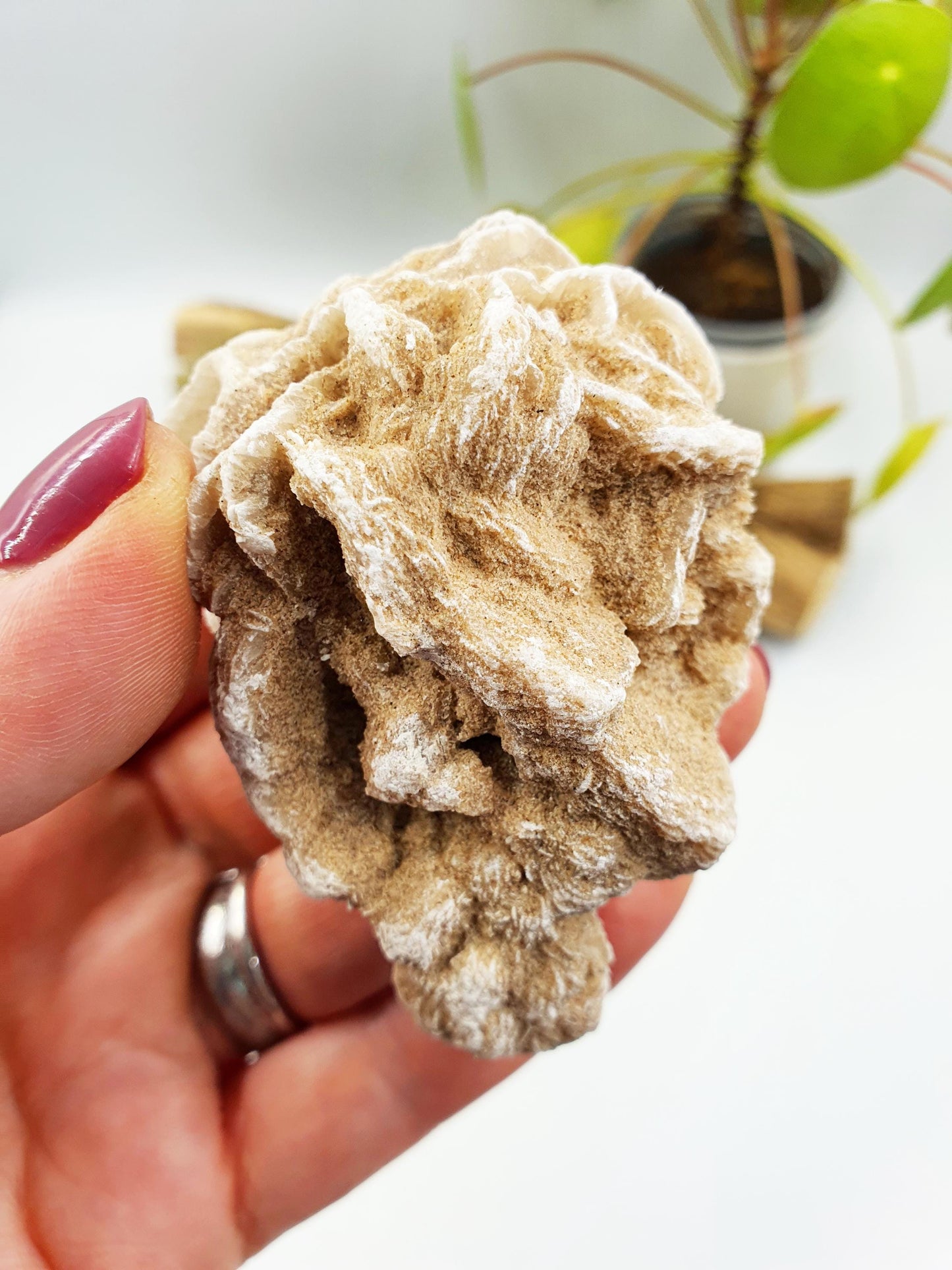Large Desert Rose Specimen / Desert Rose Cluster / Gypsum / Raw Desert Road Mineral - 130g