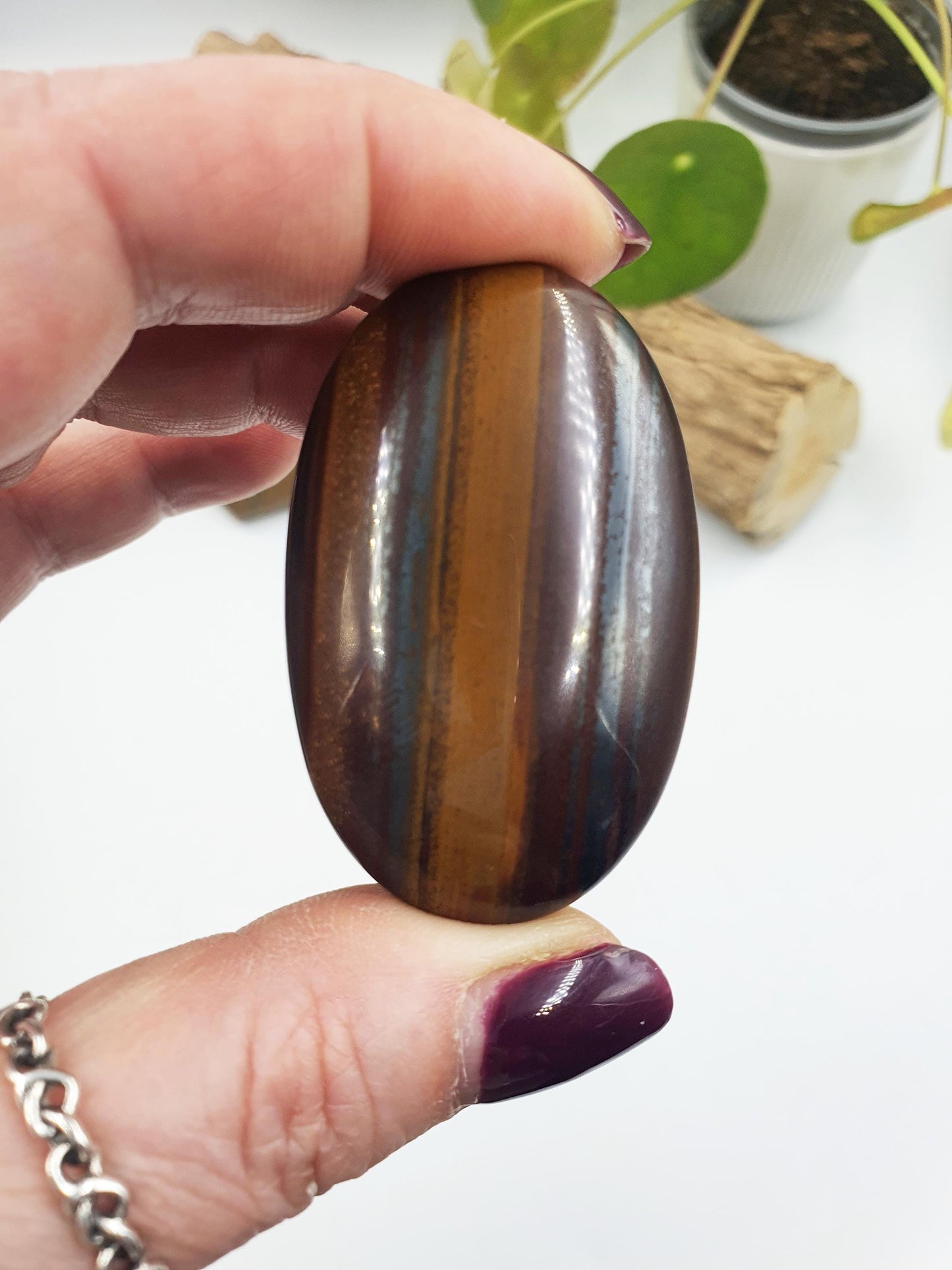 Tiger Iron Palm