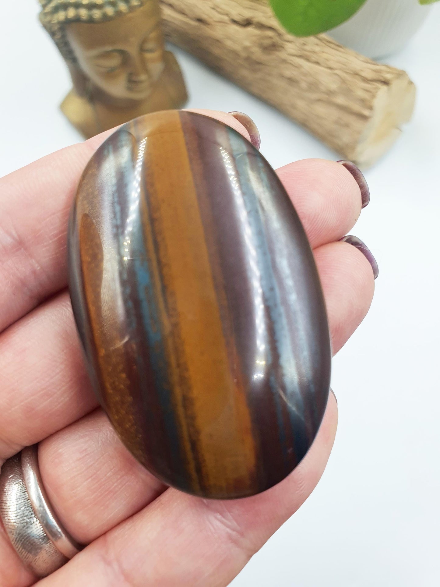 Tiger Iron Palm
