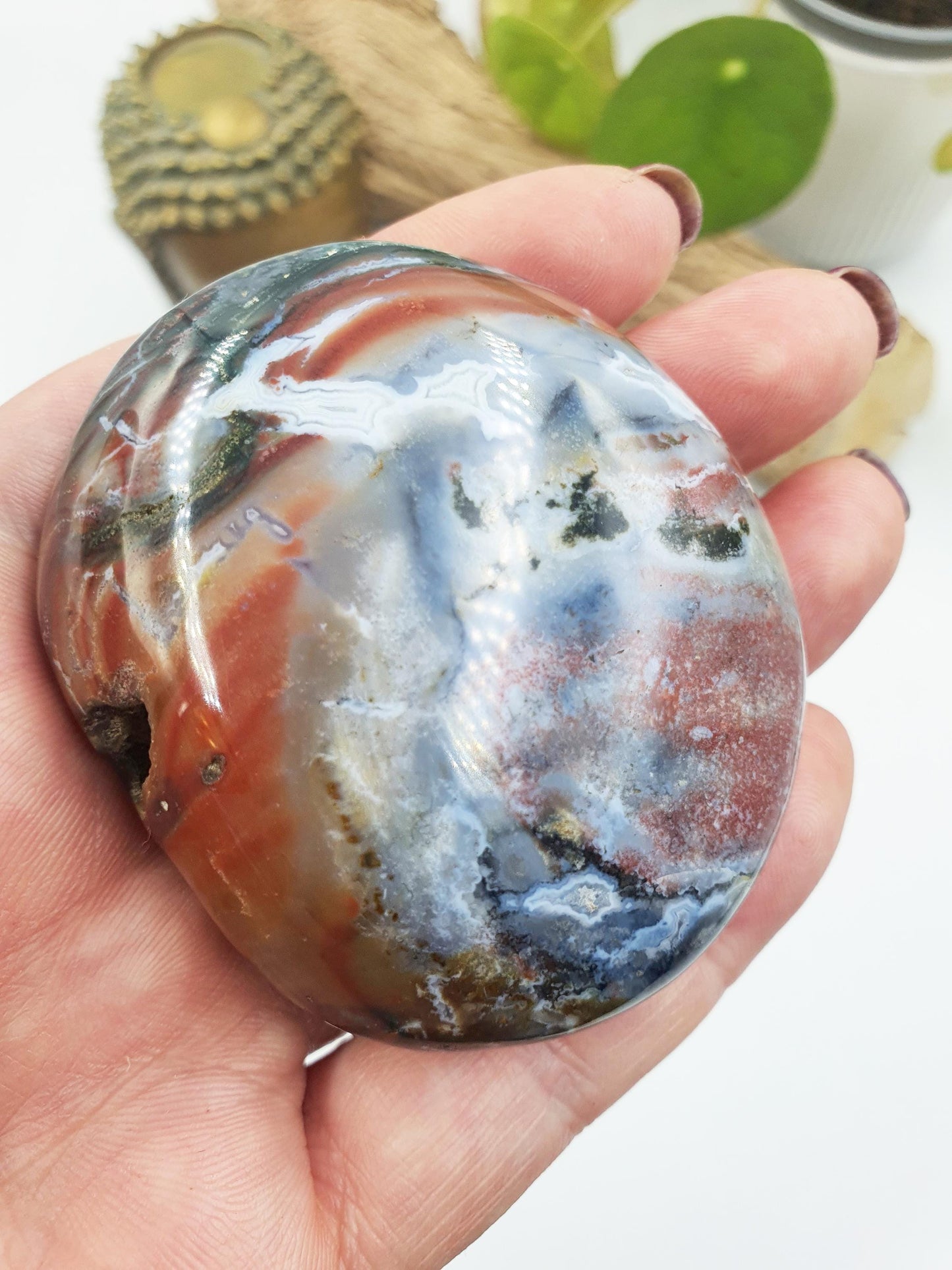 Large Round Ocean Jasper Palm