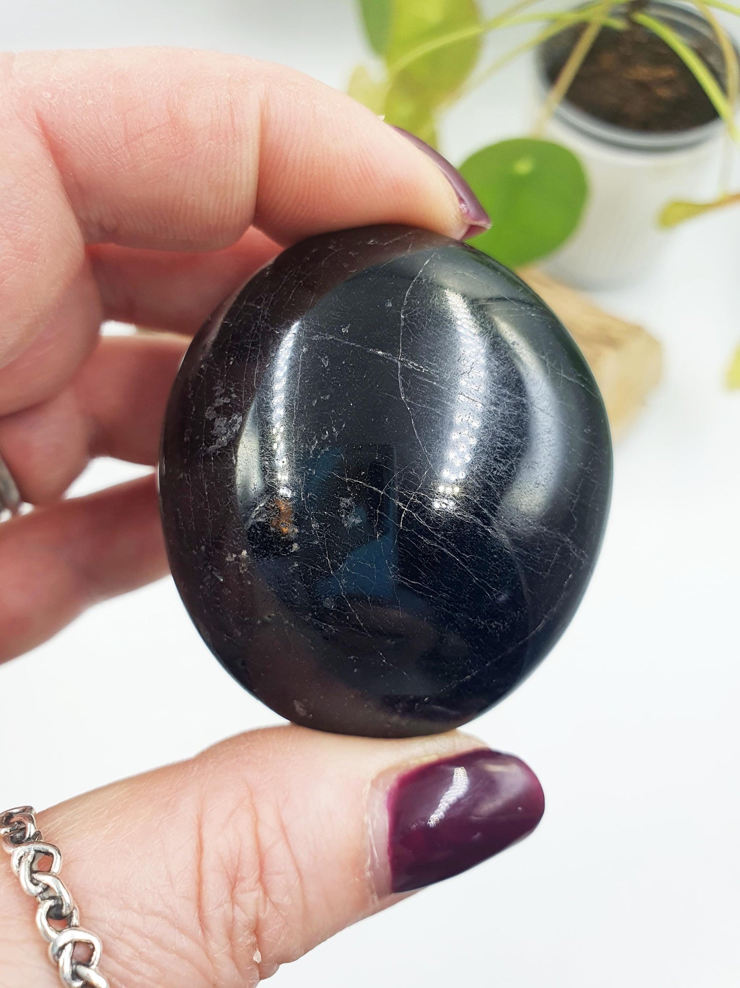Black Tourmaline Palm
