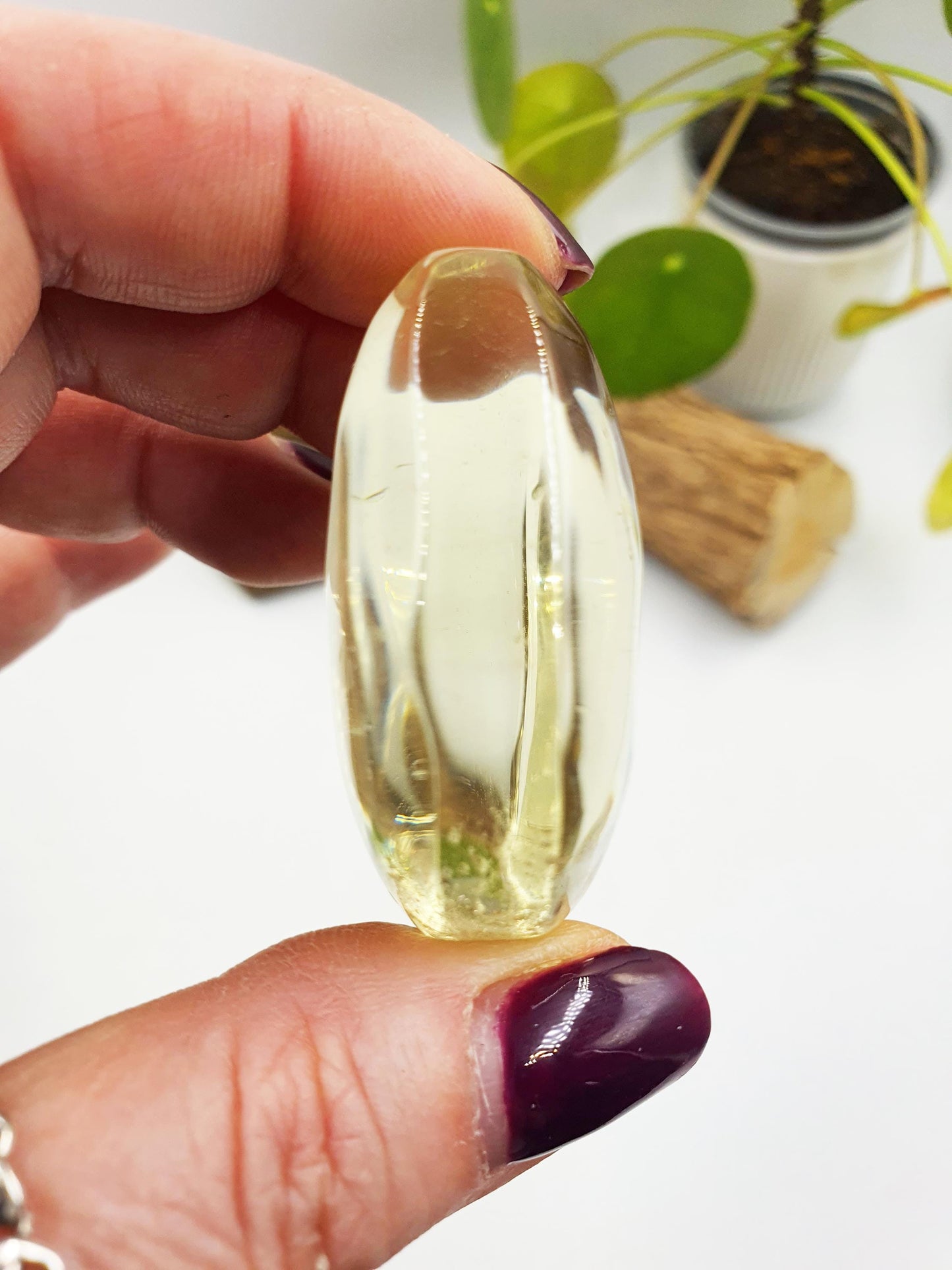 Citrine Palm