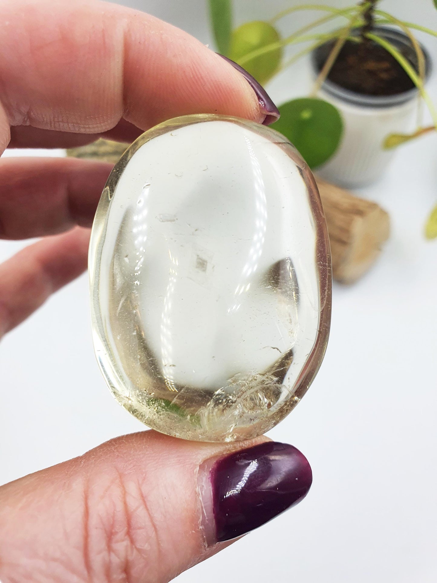 Citrine Palm