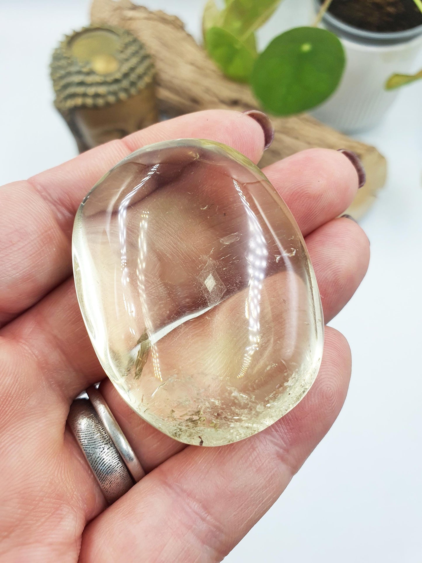 Citrine Palm