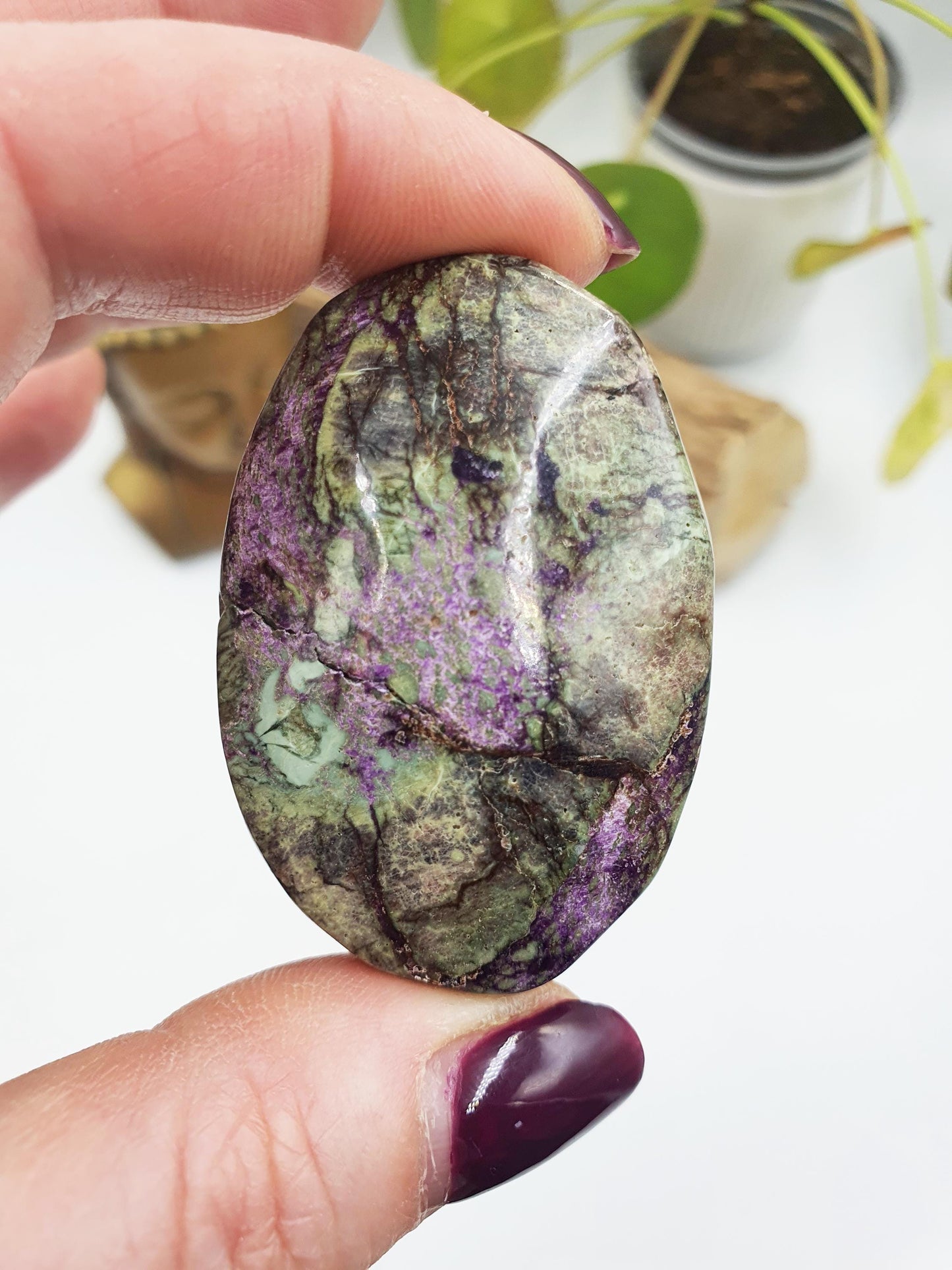 Little Atlantisite Palm