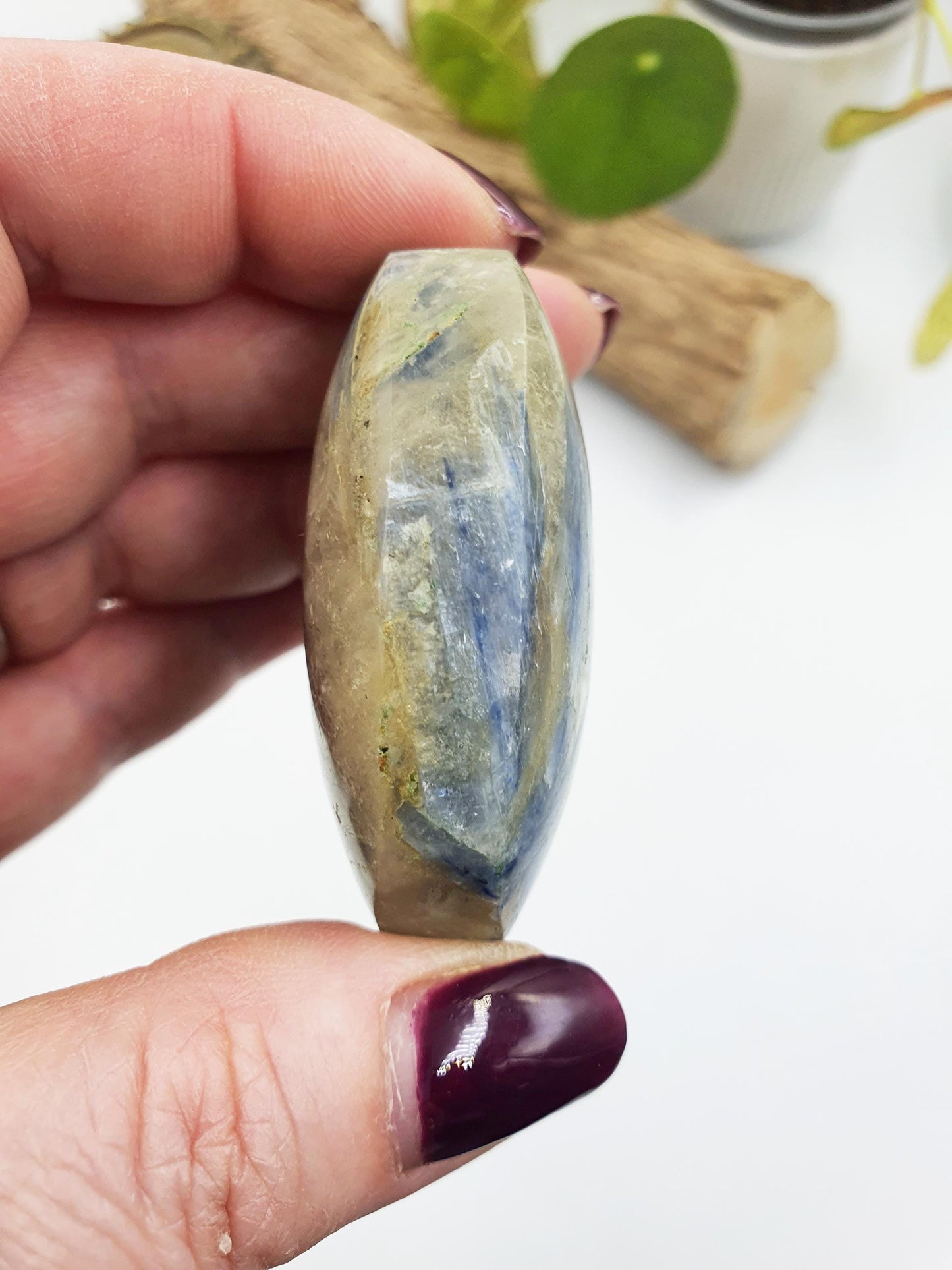 Kyanite Palm