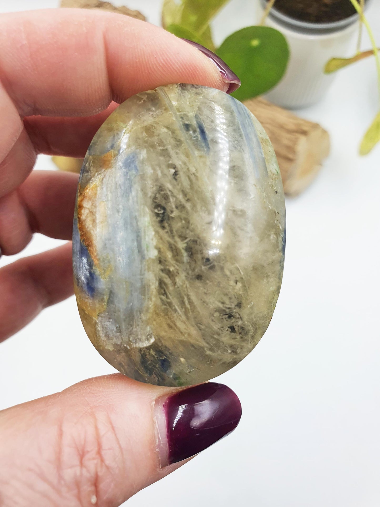 Kyanite Palm