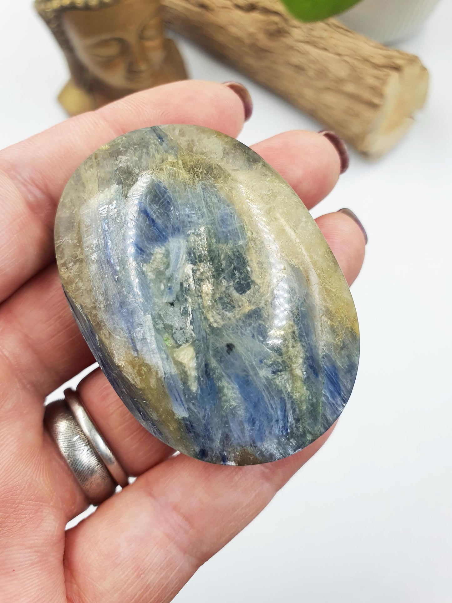 Kyanite Palm