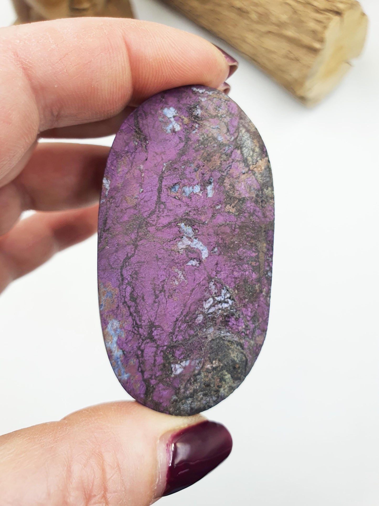 Purpurite Palm