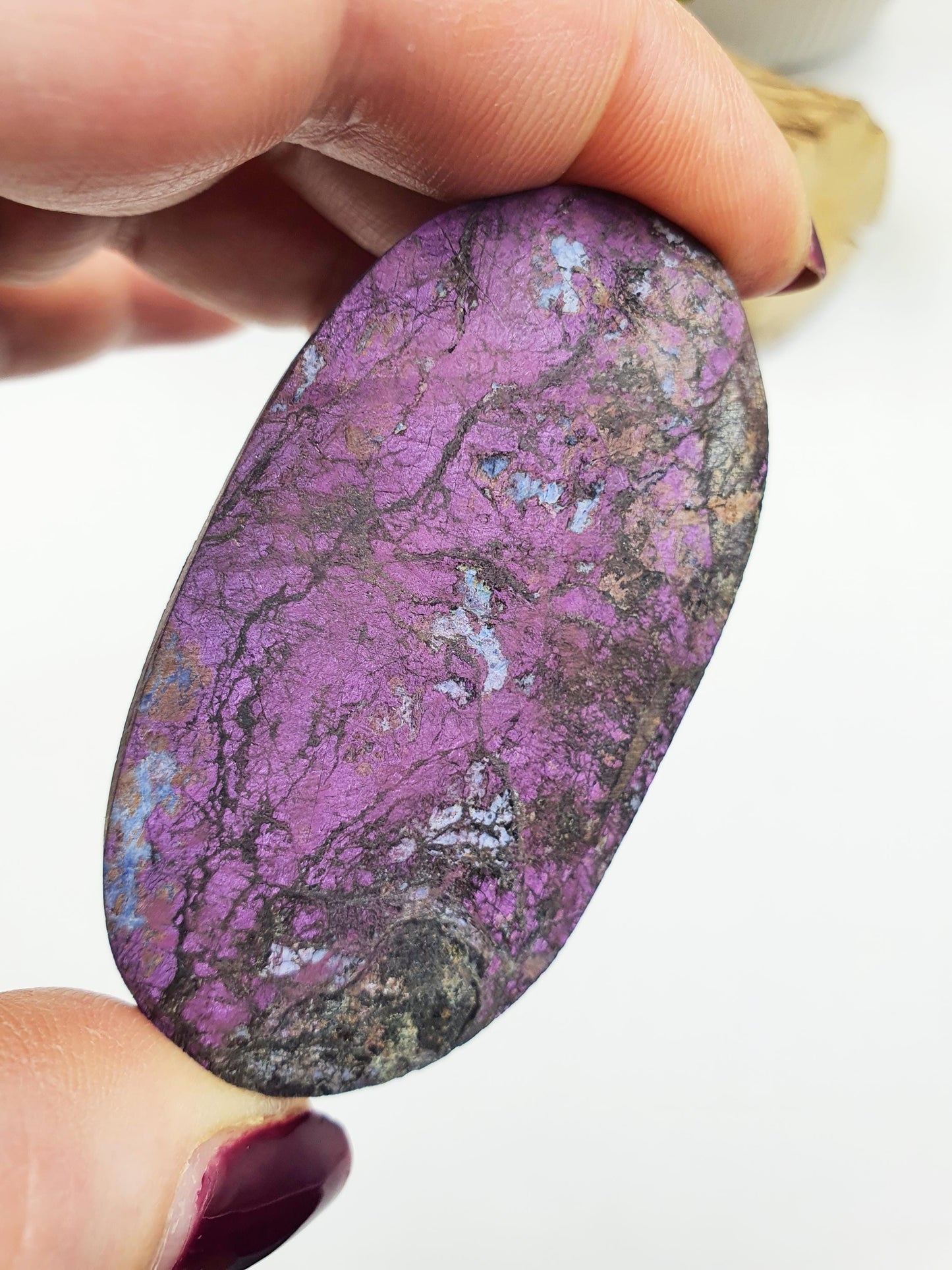 Purpurite Palm