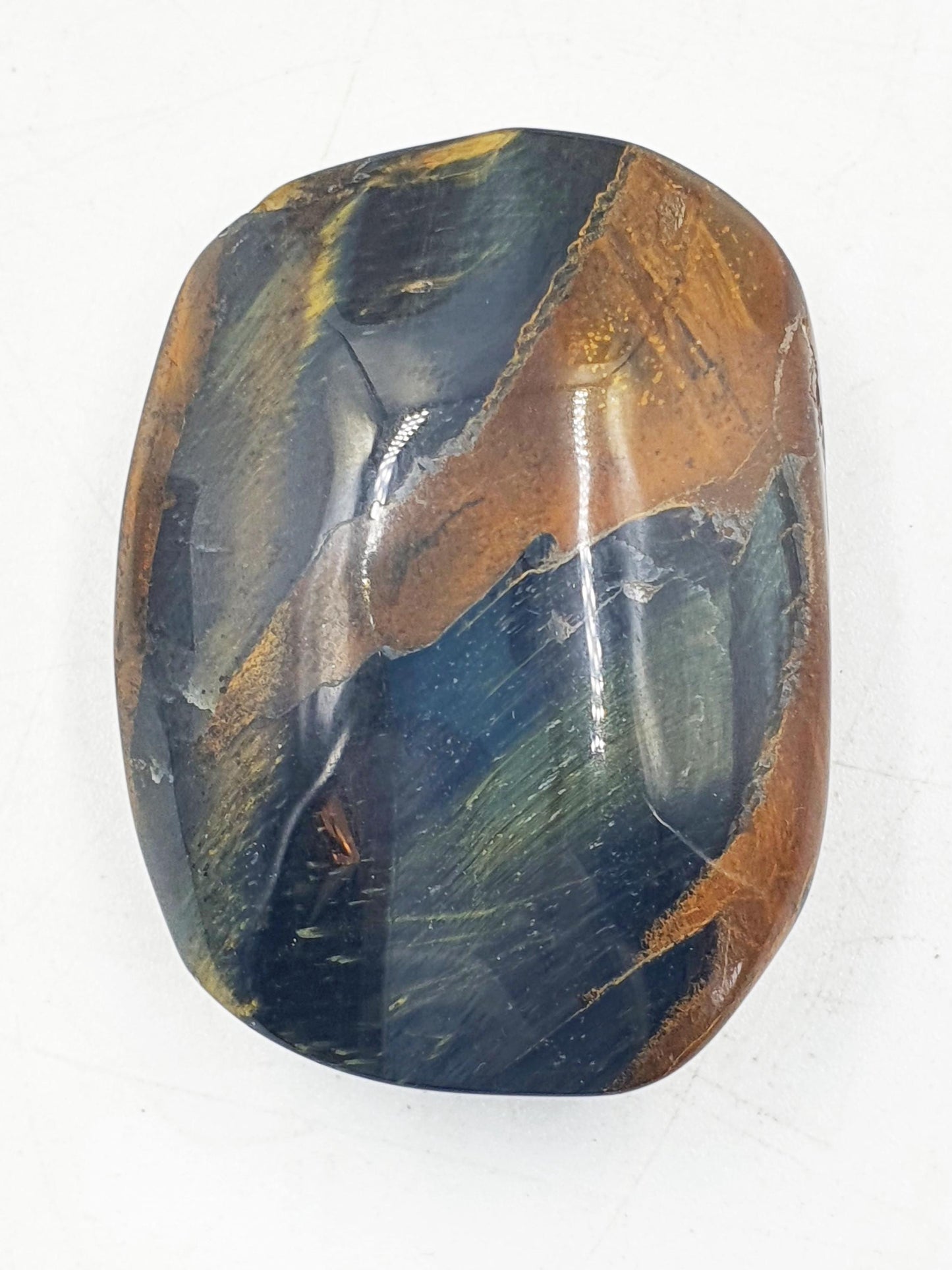 Flashy Blue Tiger's Eye Palm