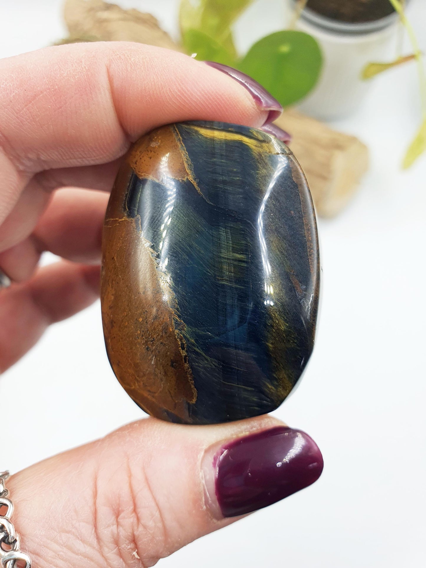 Flashy Blue Tiger's Eye Palm