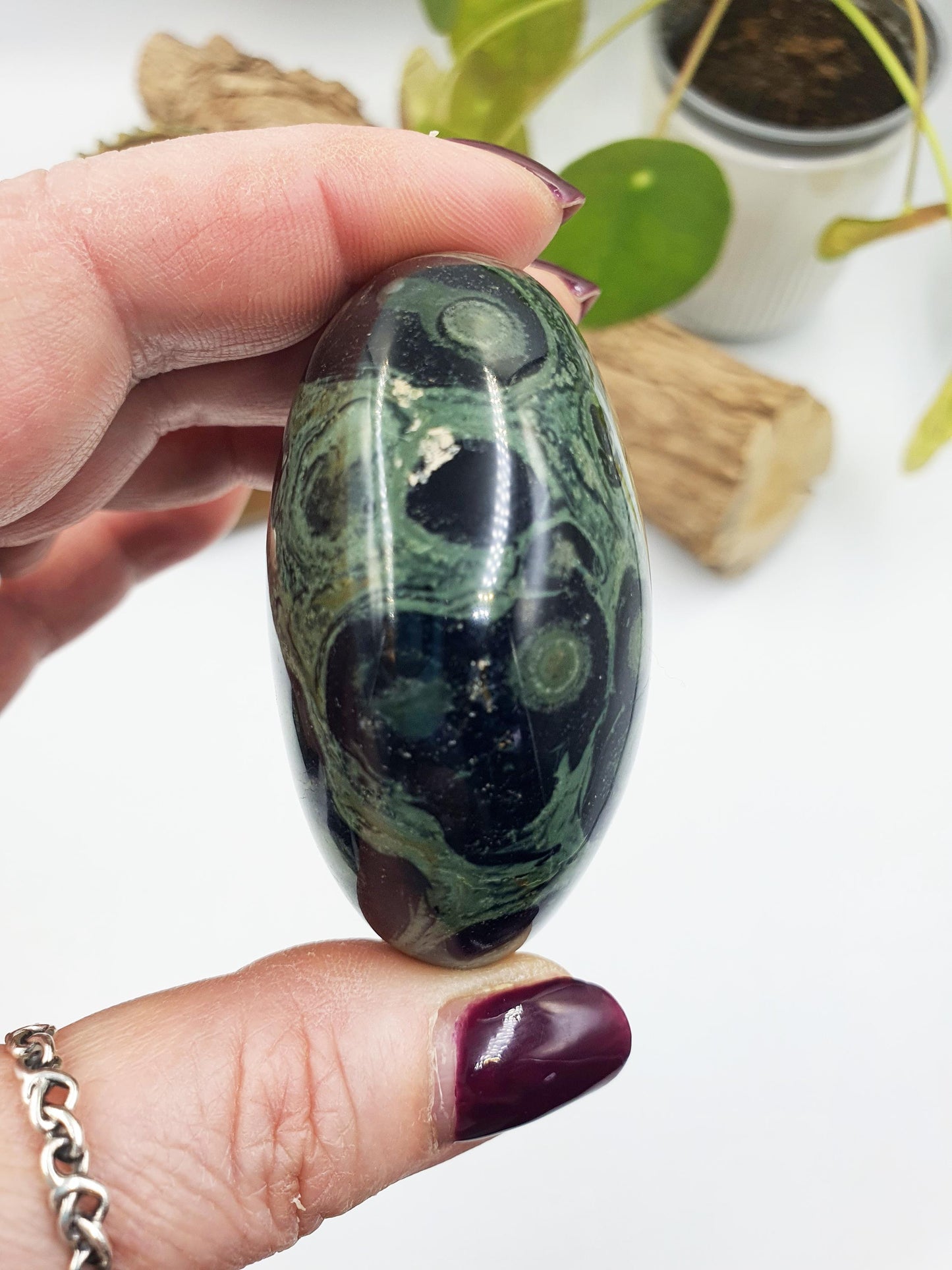 Kambaba Jasper Palm