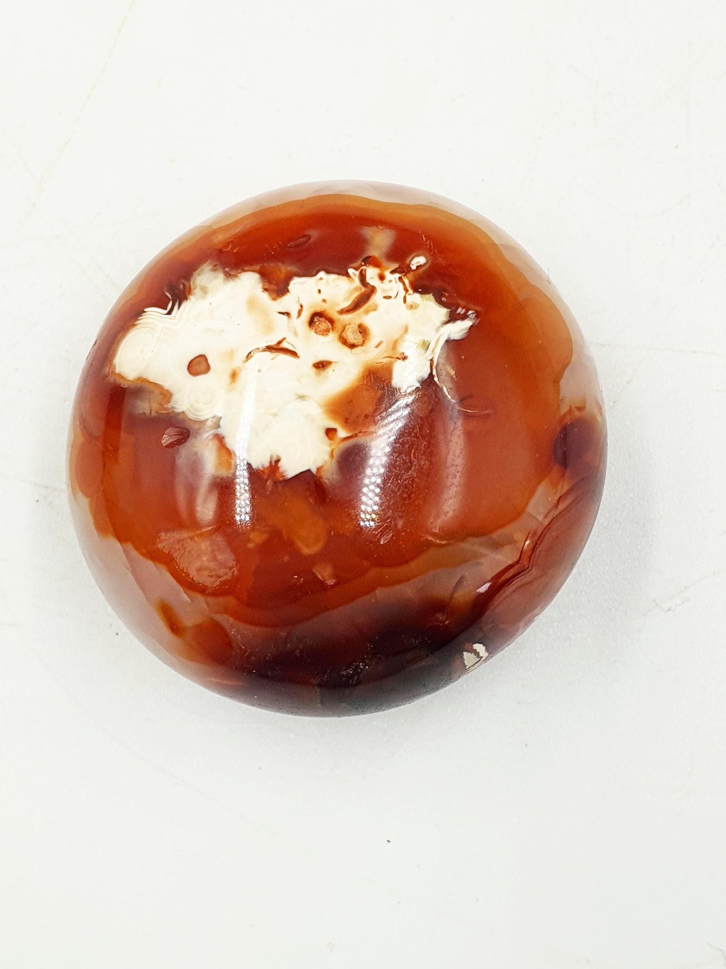 Carnelian Palm