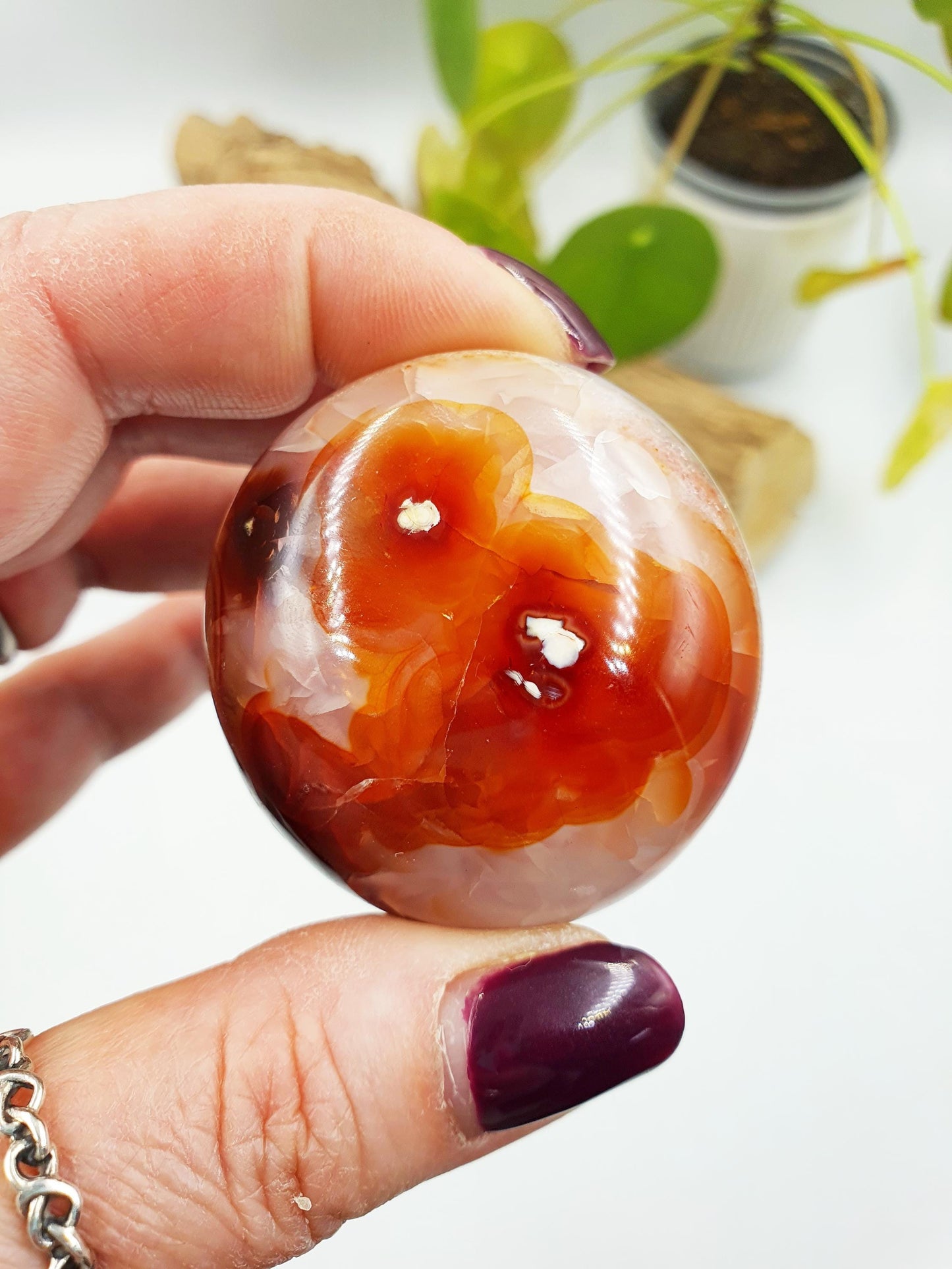 Carnelian Palm